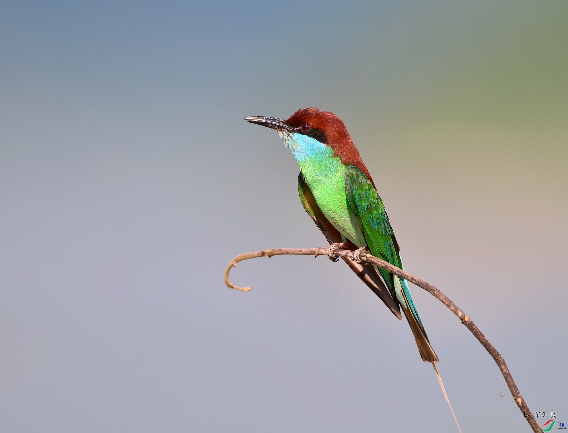 D8I_3101.jpg