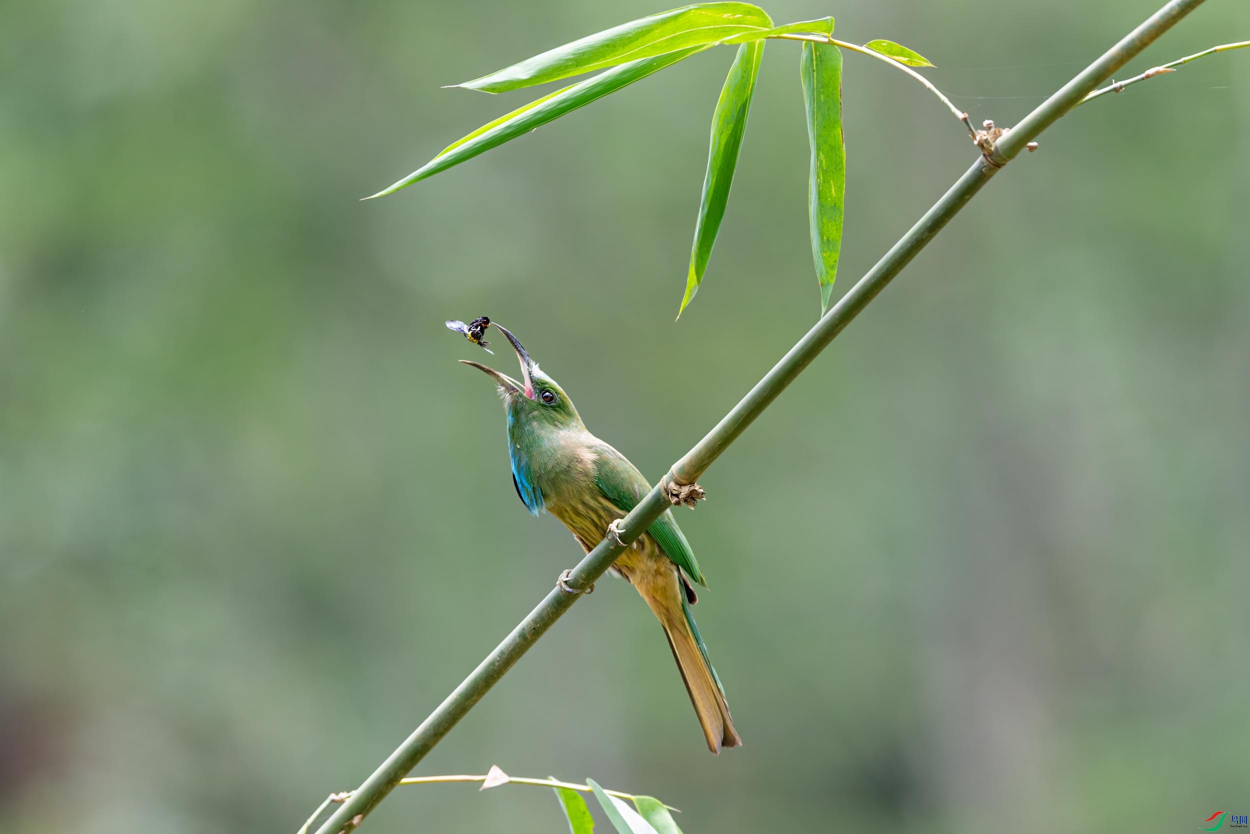 DSC_3017.jpg