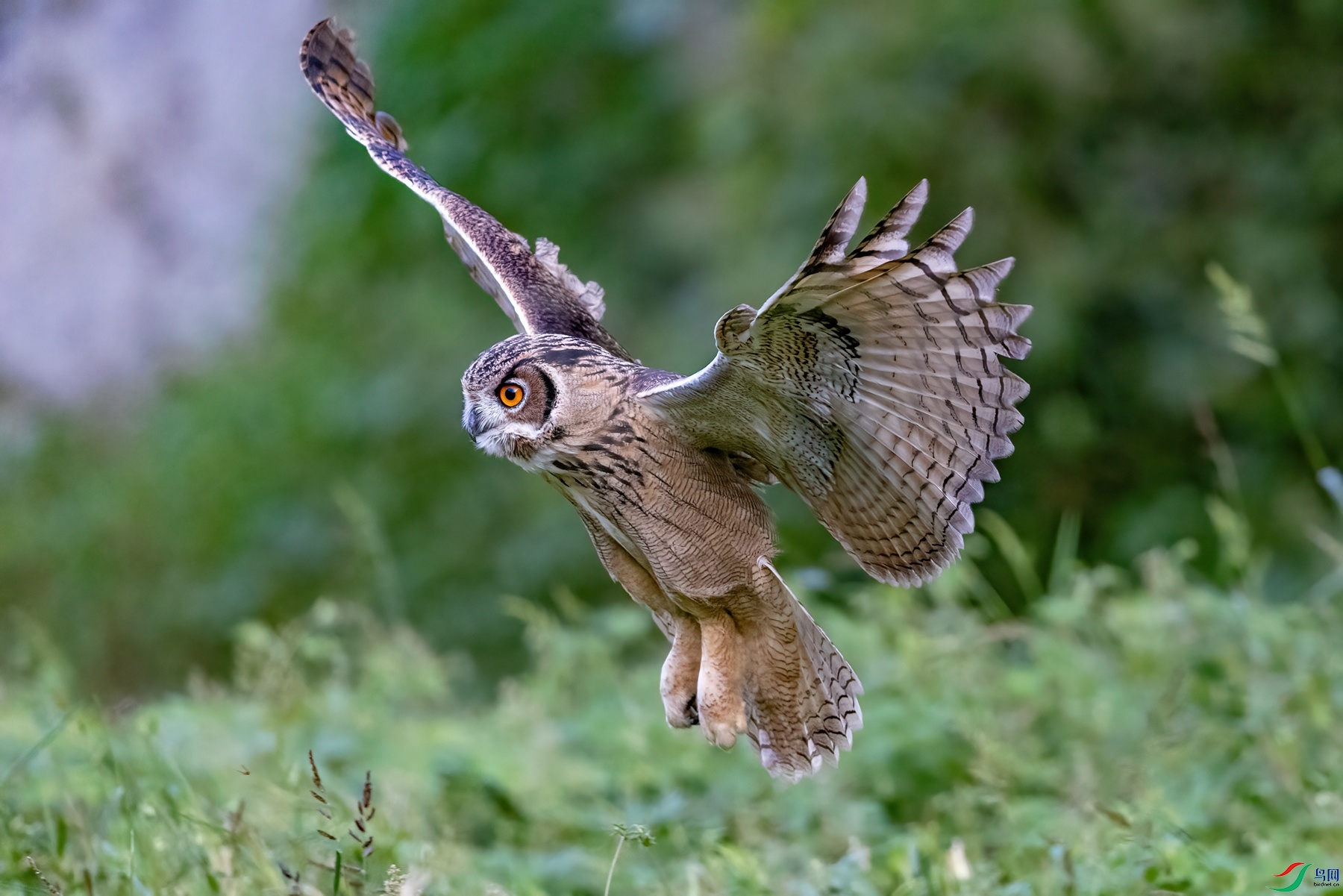 274A0518 ����_����.jpg