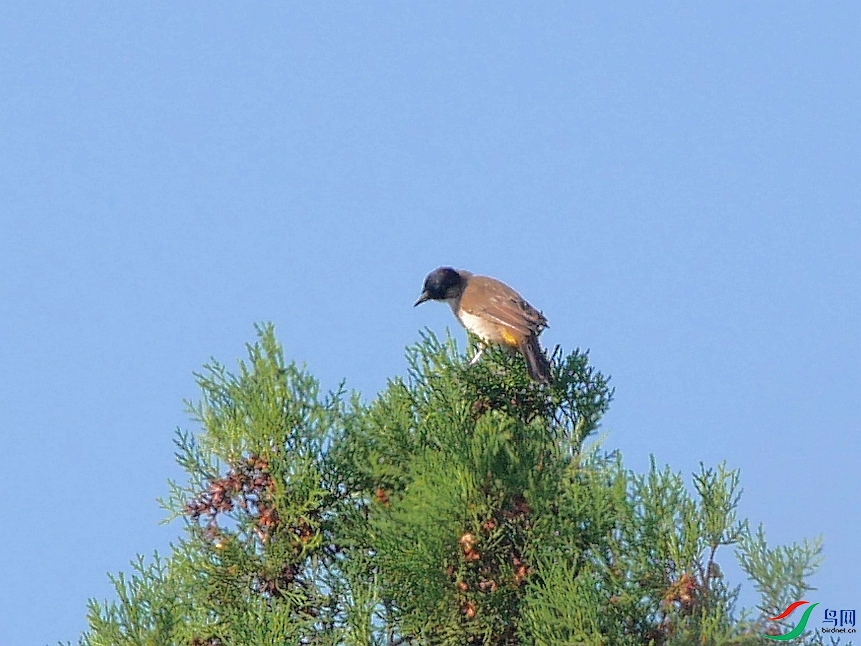 P7070806 - ����.JPG