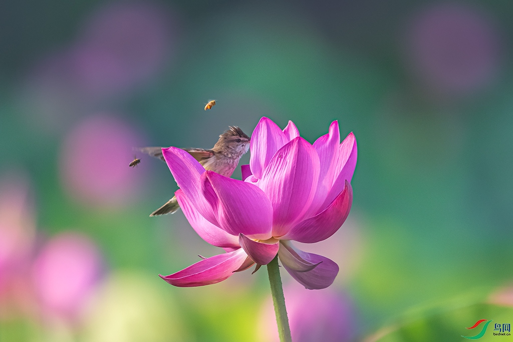 xzylhnR210619_0155.jpg