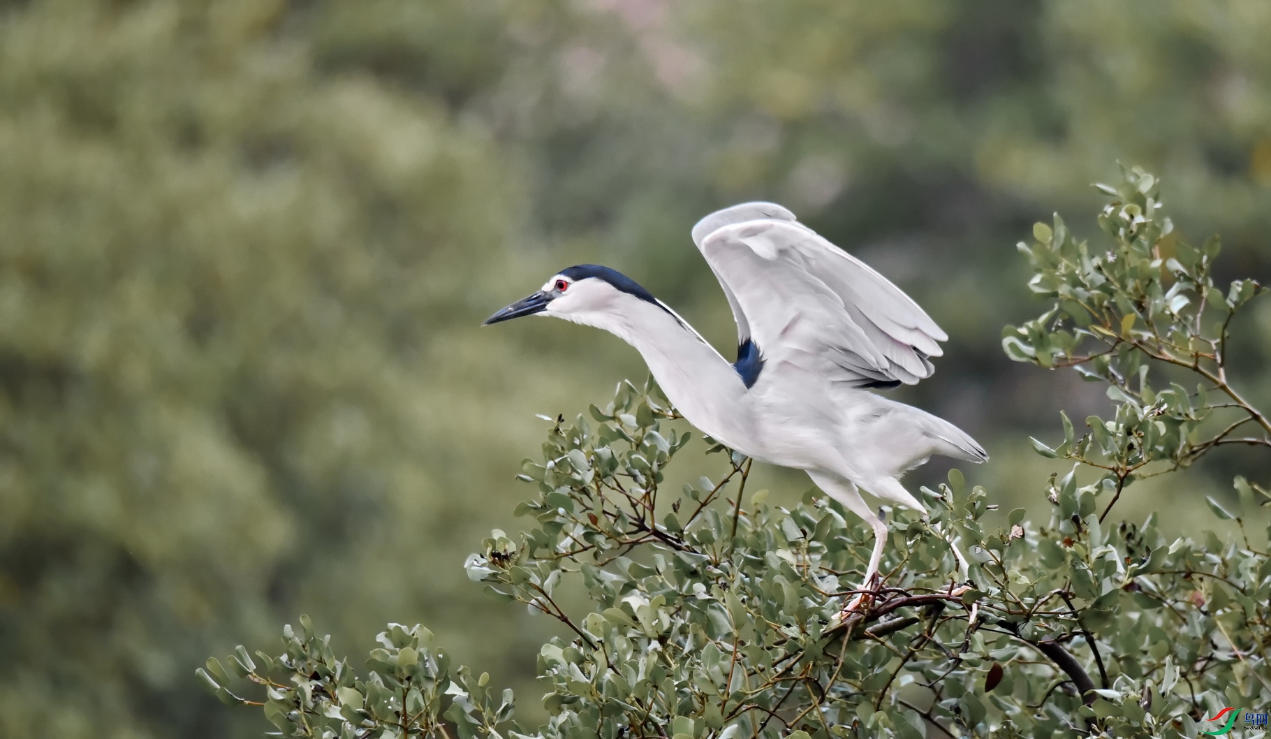 DSC_8092.JPG