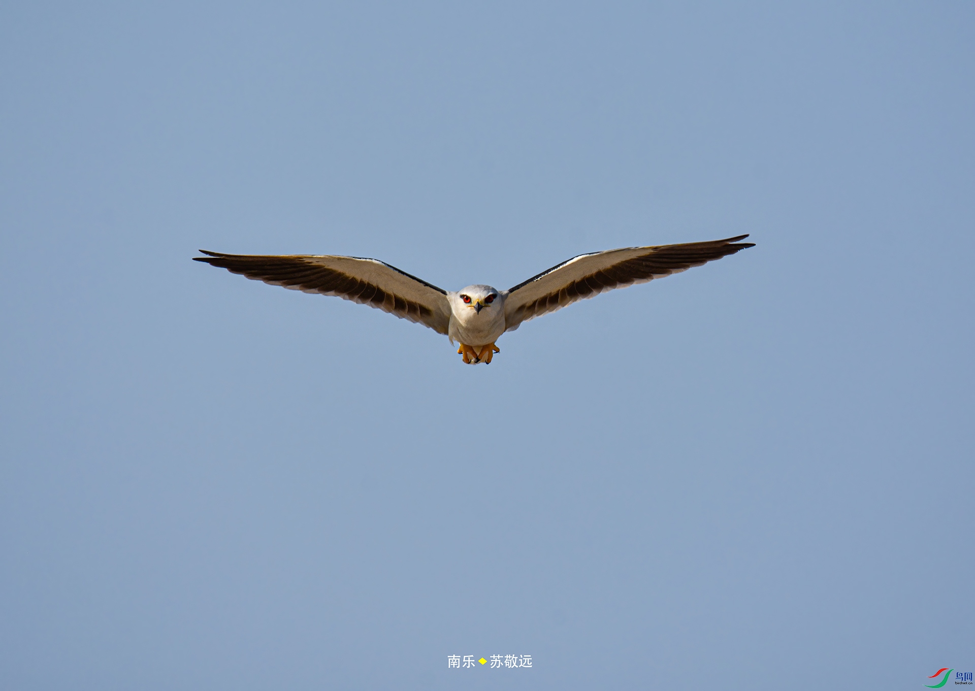 _DSC4615С.jpg