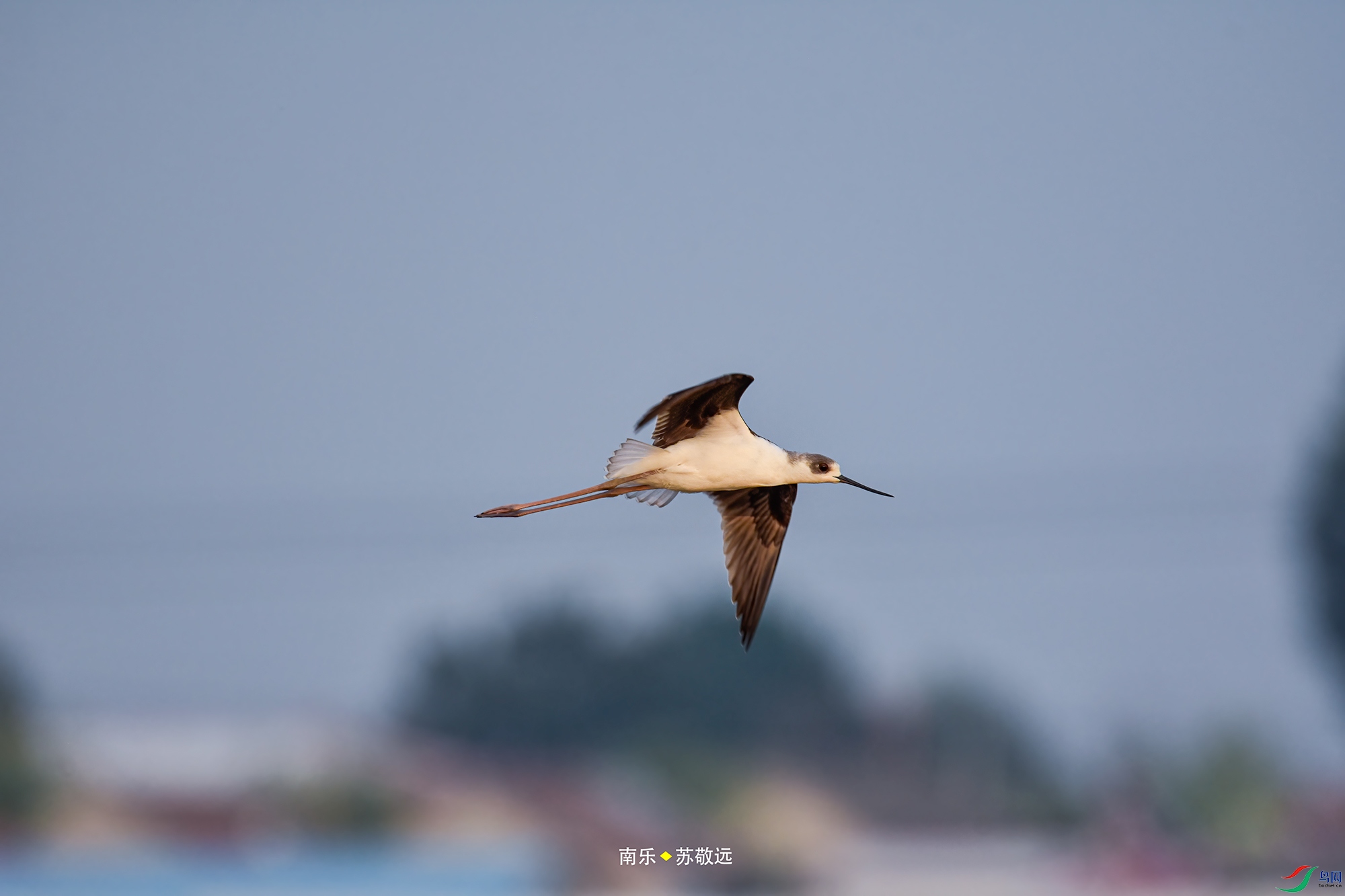 _DSC4689С.jpg