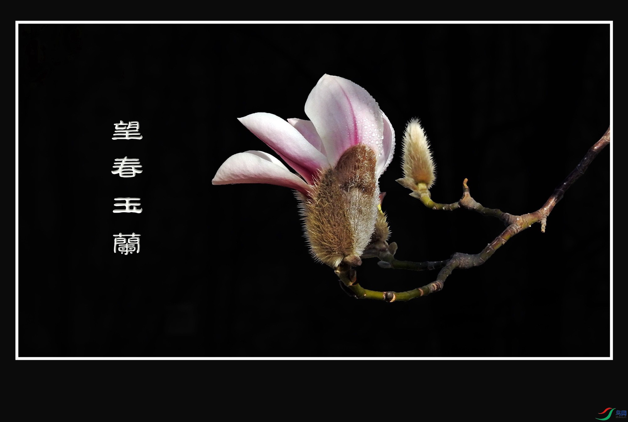 ������ (7).jpg