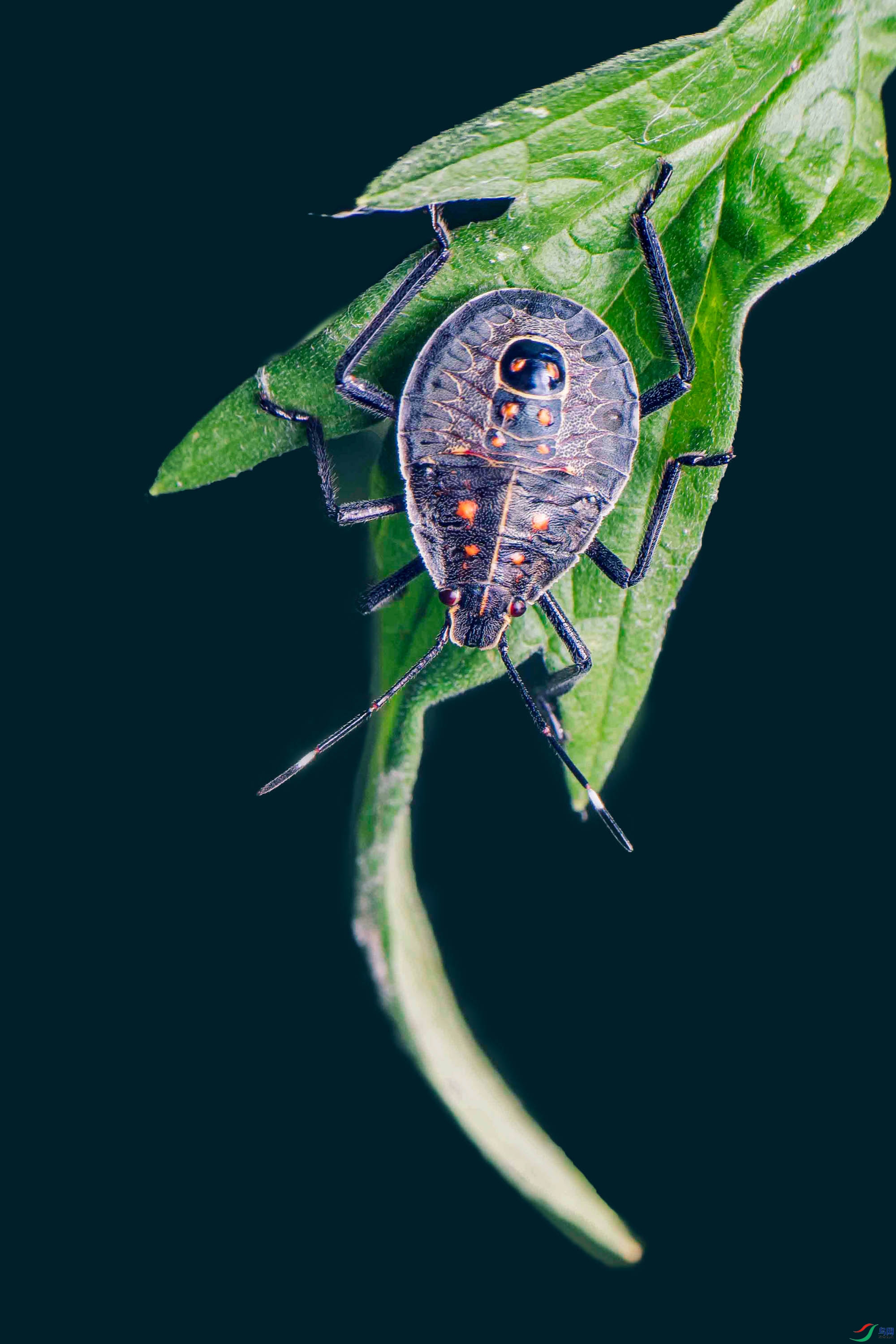 DSC_3536.jpg