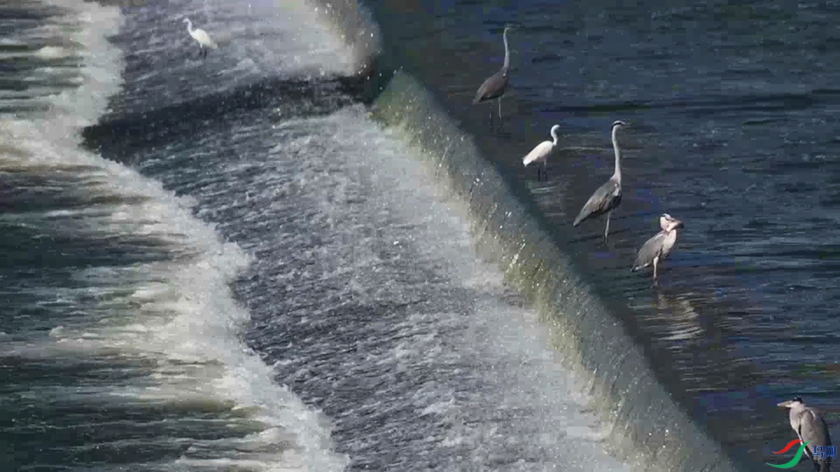 DSC_1042 00_00_04-00_00_12_Moment����-1-01-p-2.jpg