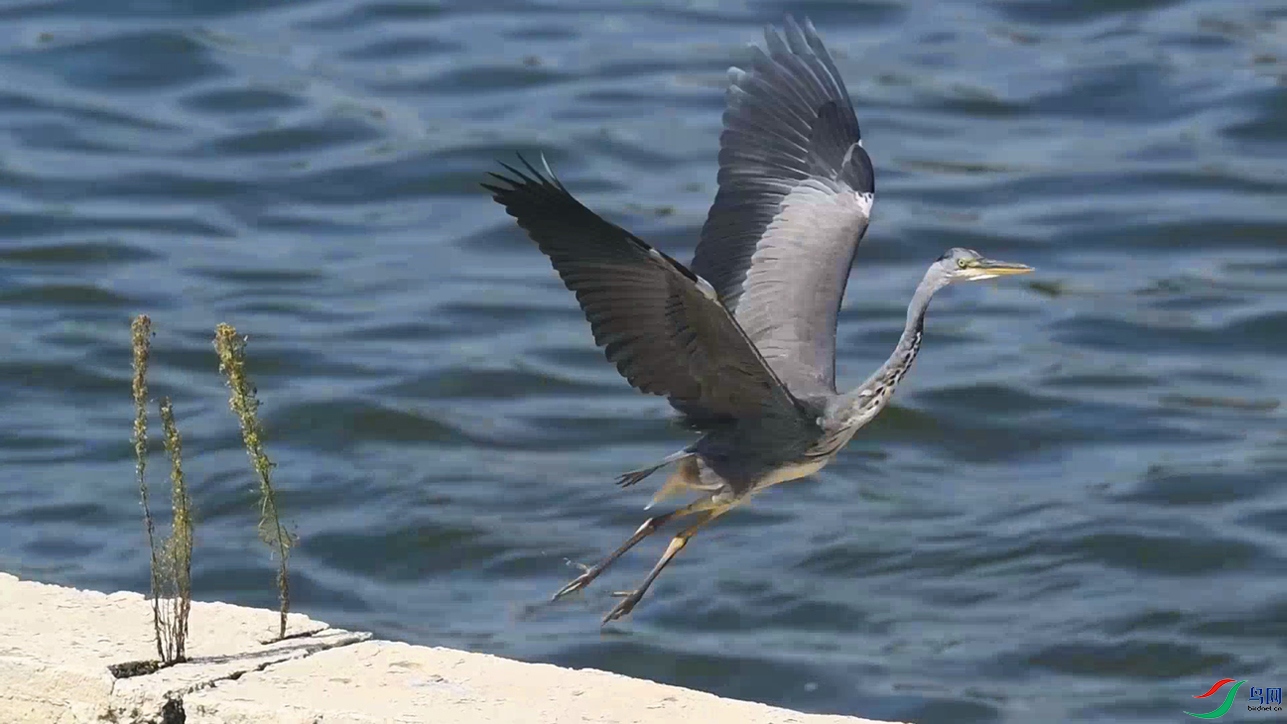 DSC_0736 00_00_02-00_00_13_Moment�������-001-01-p-2.jpg