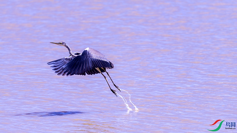 DSC_0143.jpg