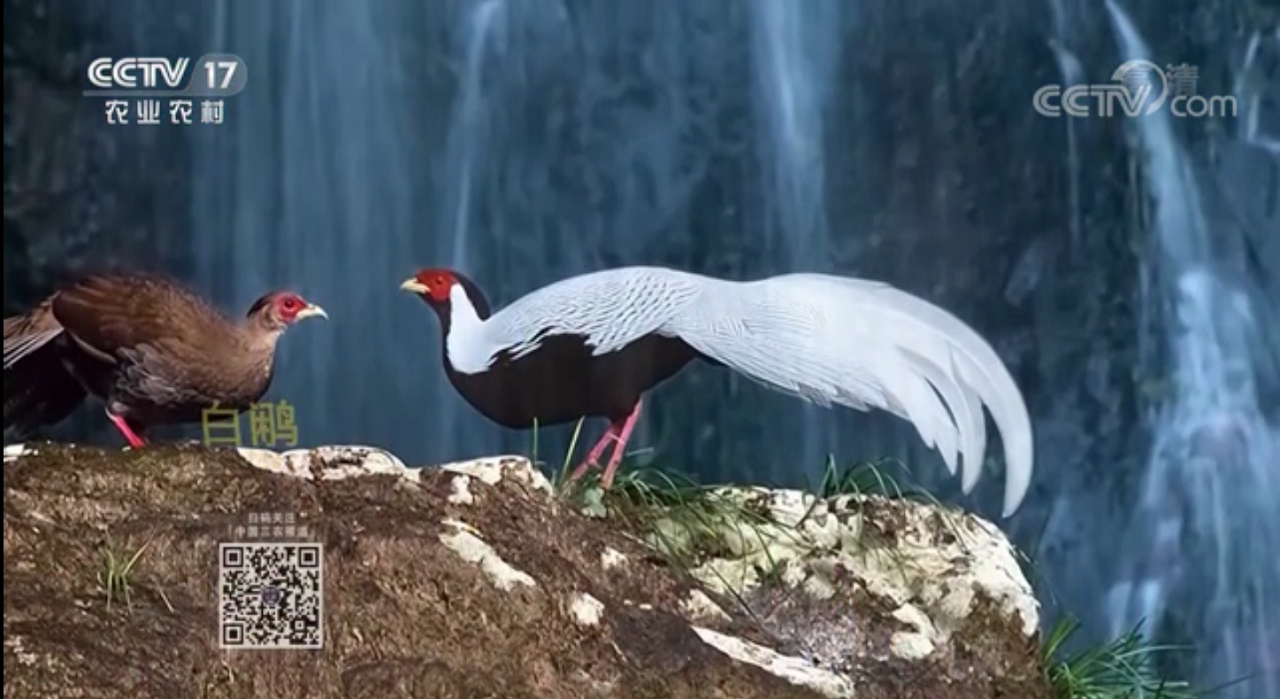 20201110 ��С.png