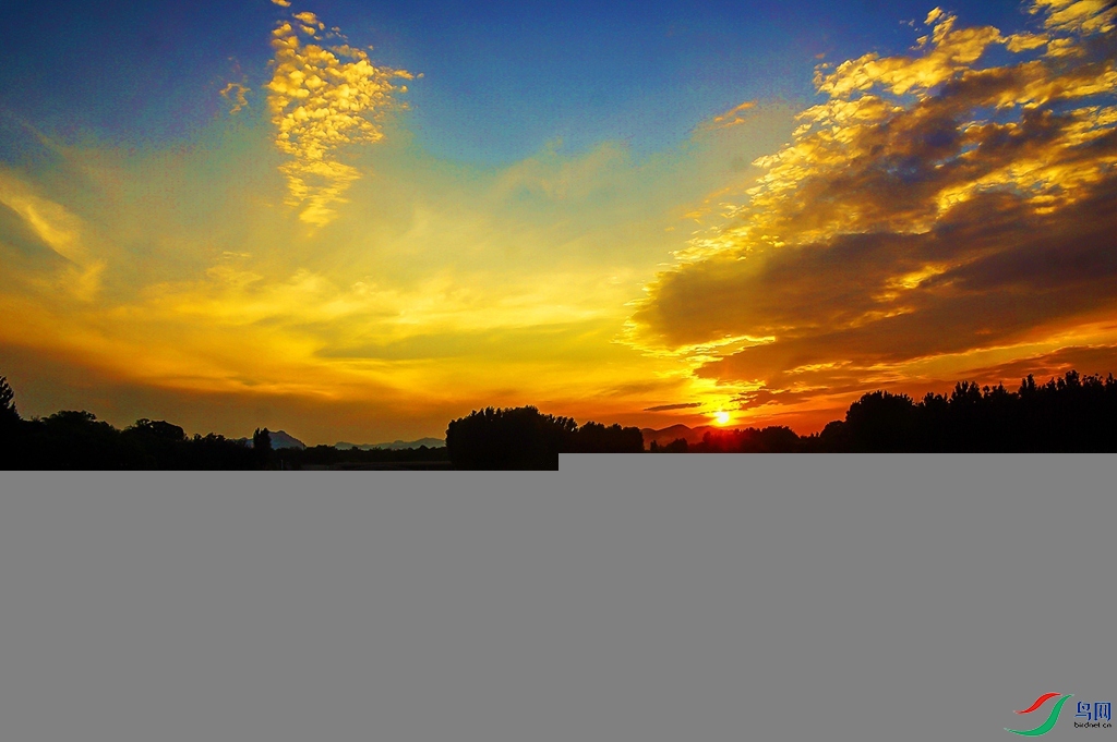 a01.jpg