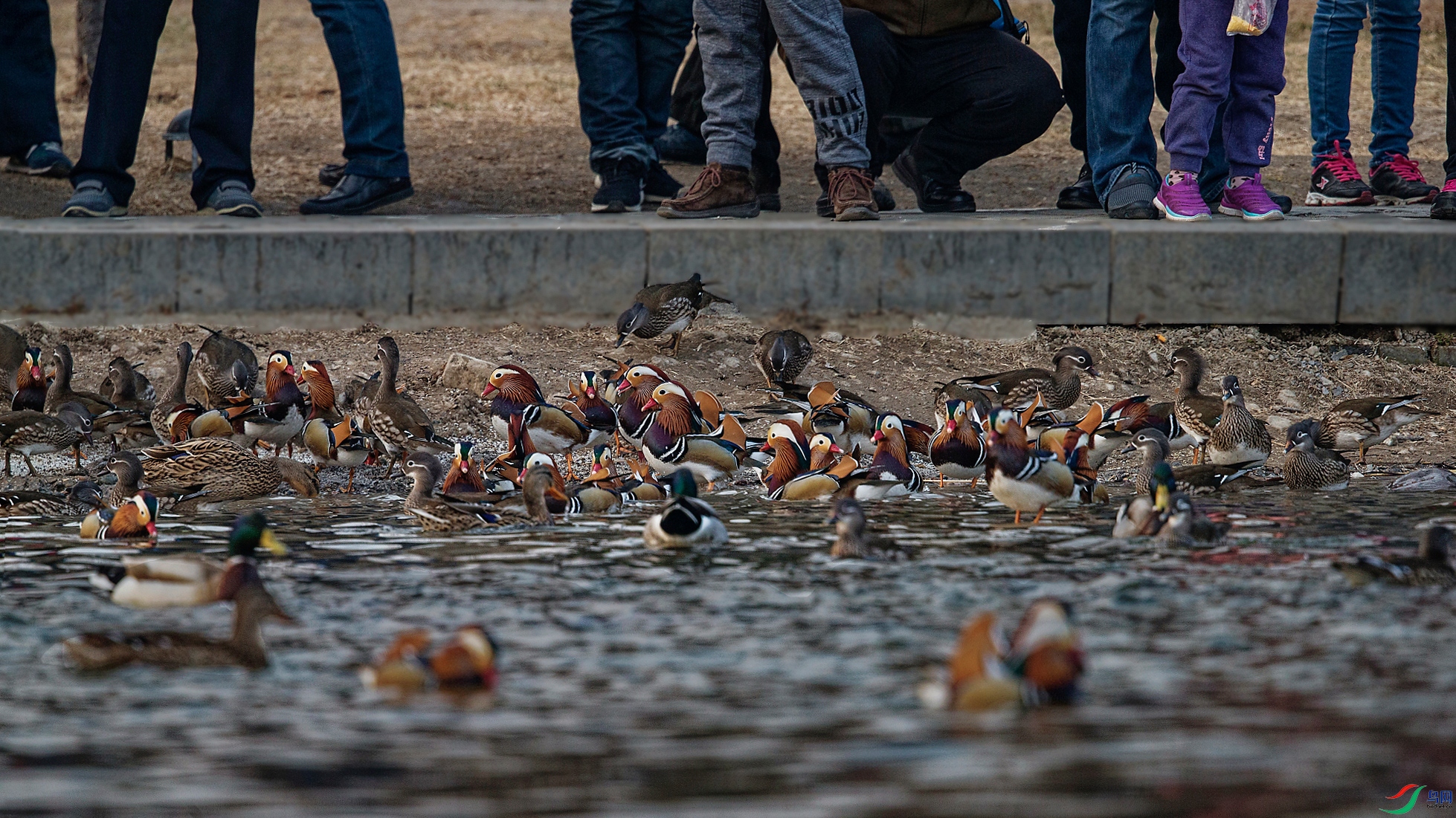 A97Q1178-_DxO.jpg
