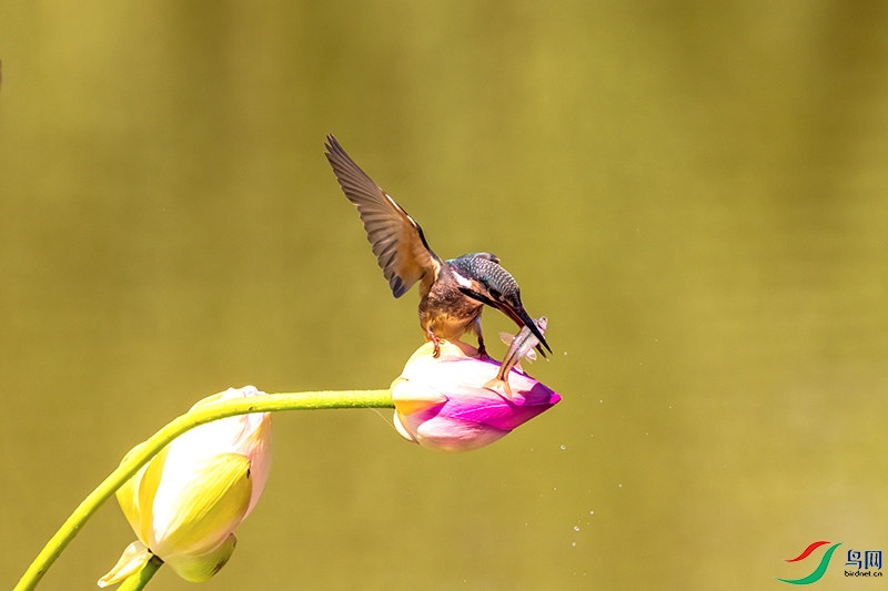 DSC_5775.jpg