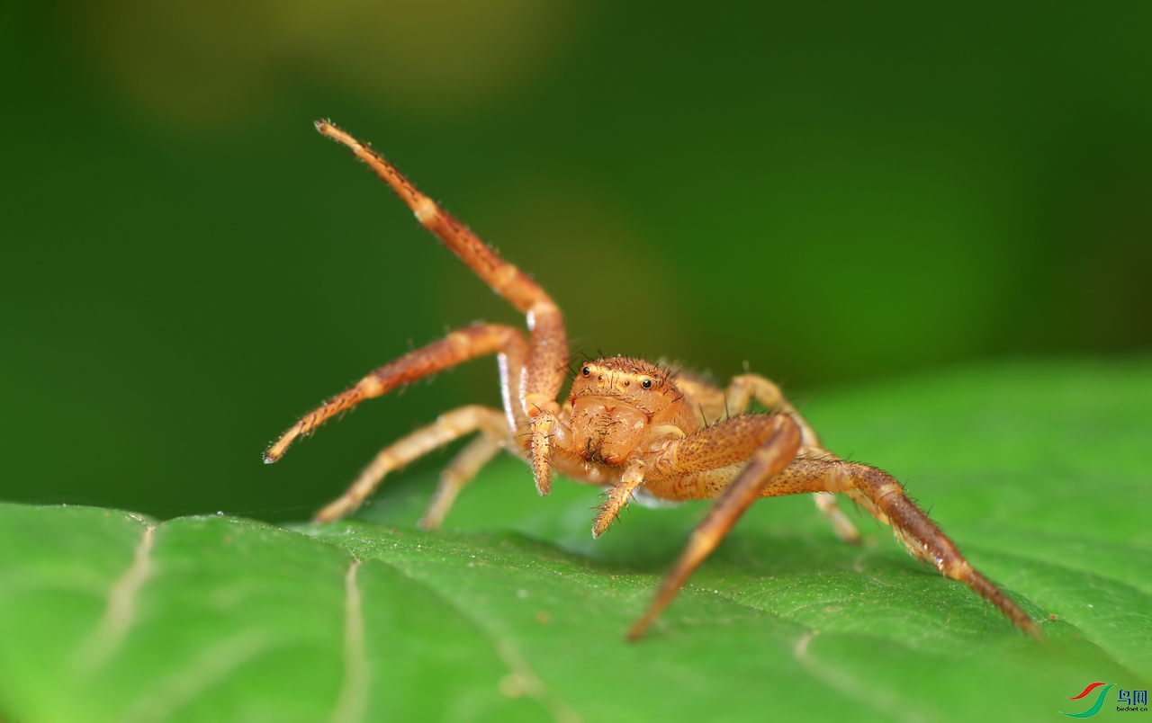 DSC_3961.JPG