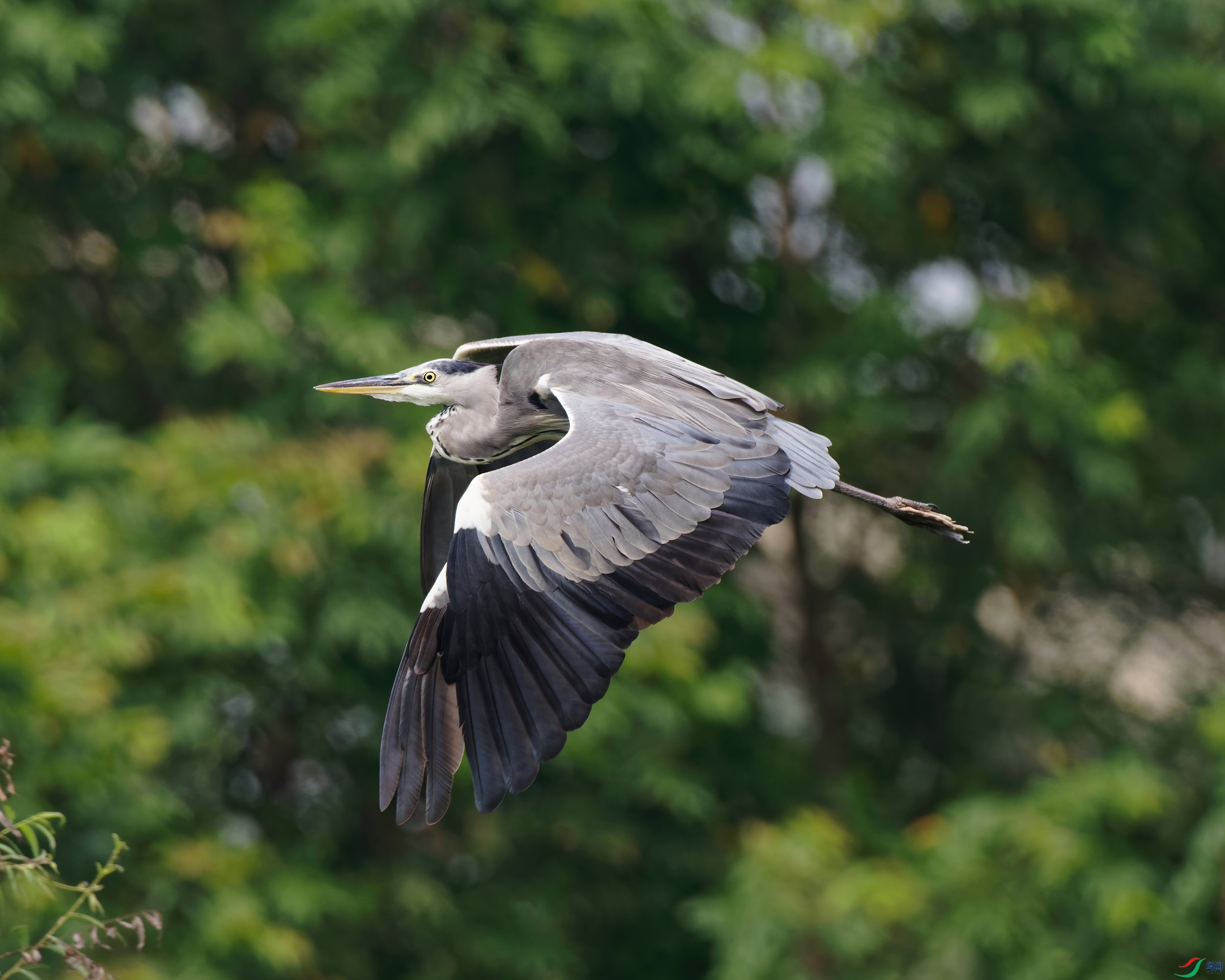 P9110093_DxO-sd2.jpg