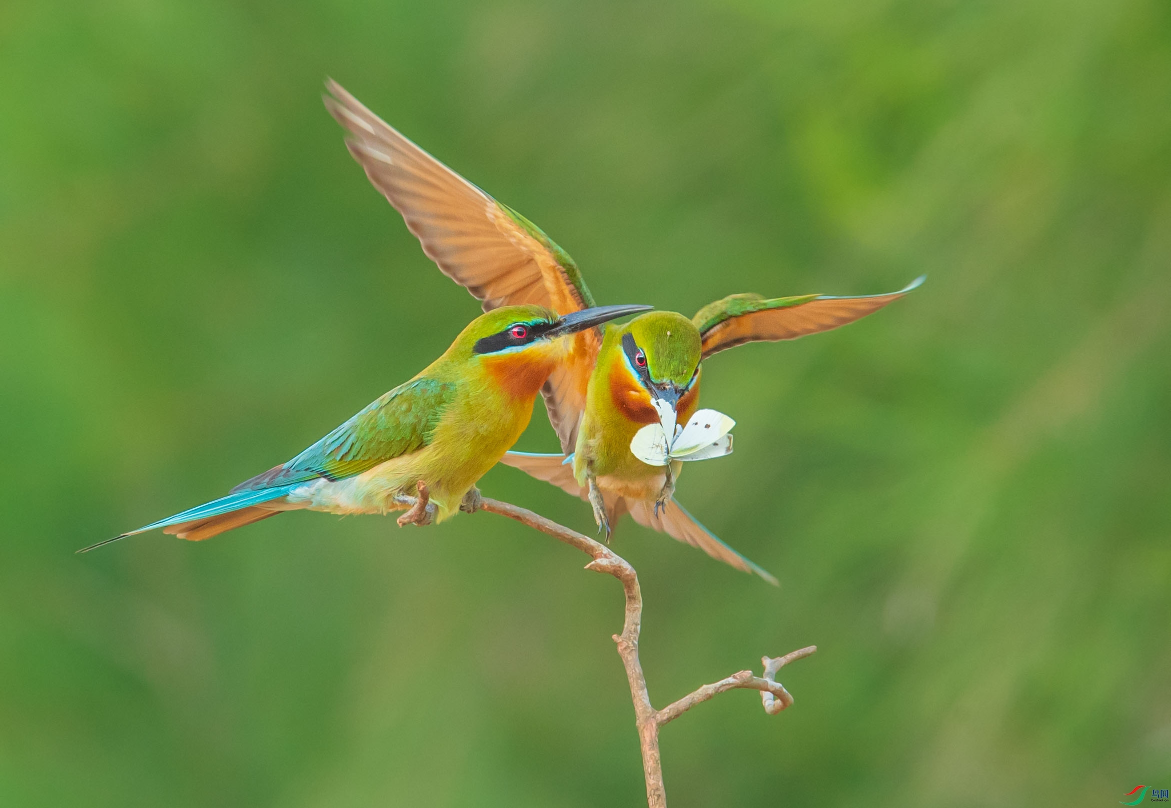 WGB_6909-1.jpg