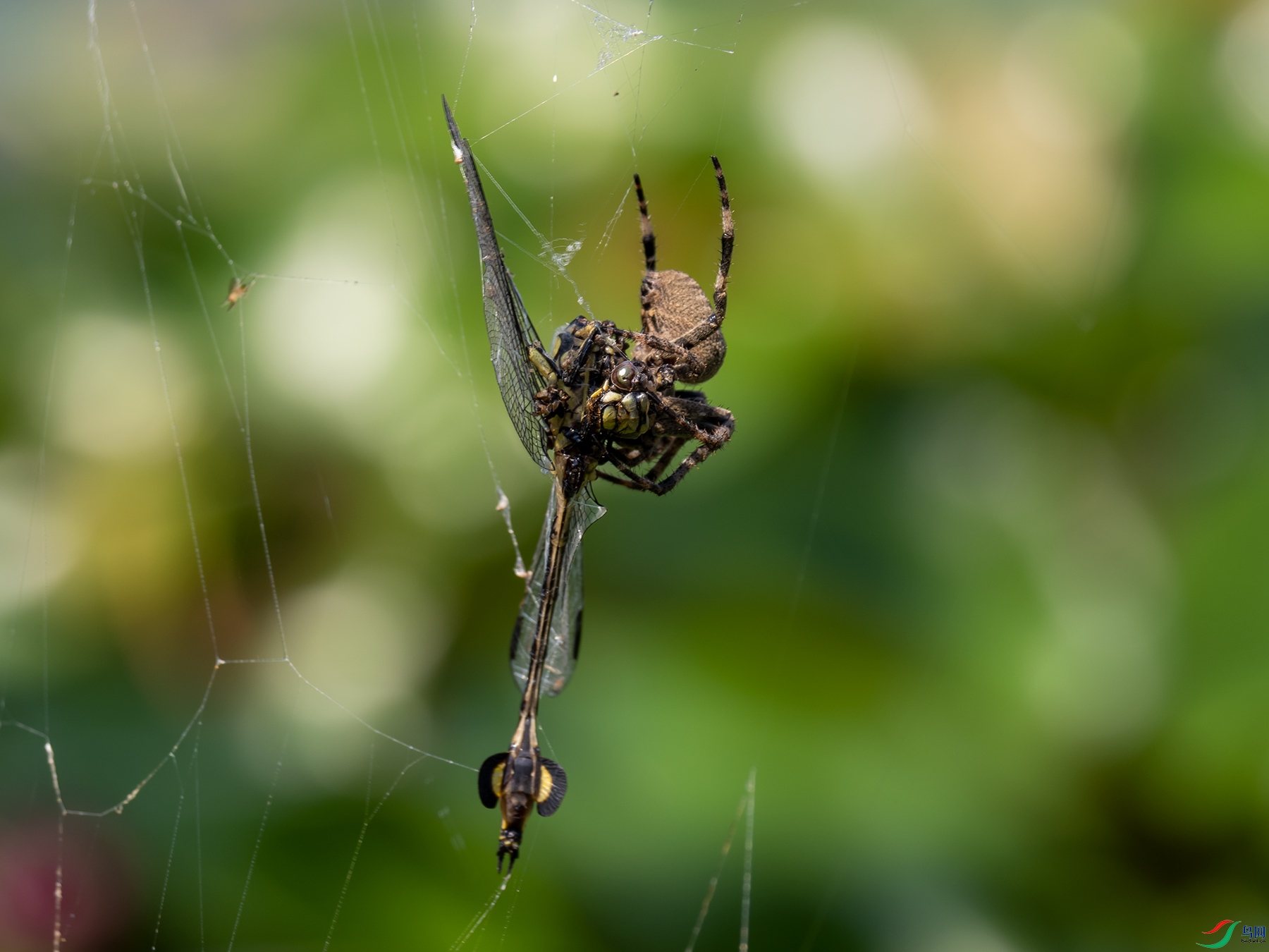 Բ���ʹ����ȴ���