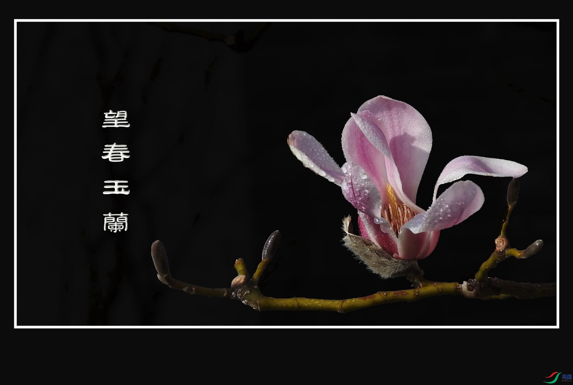 ������ (3).jpg