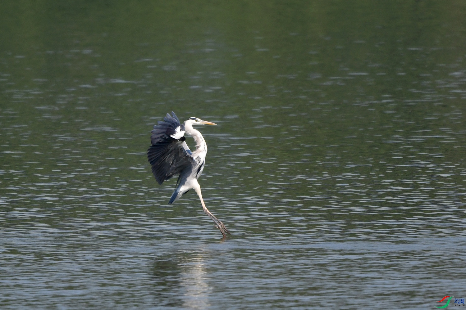DSC_3096.jpg
