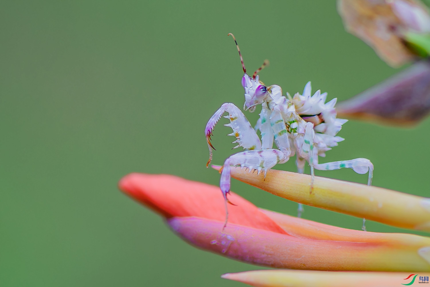 dsc_0318-3.jpg