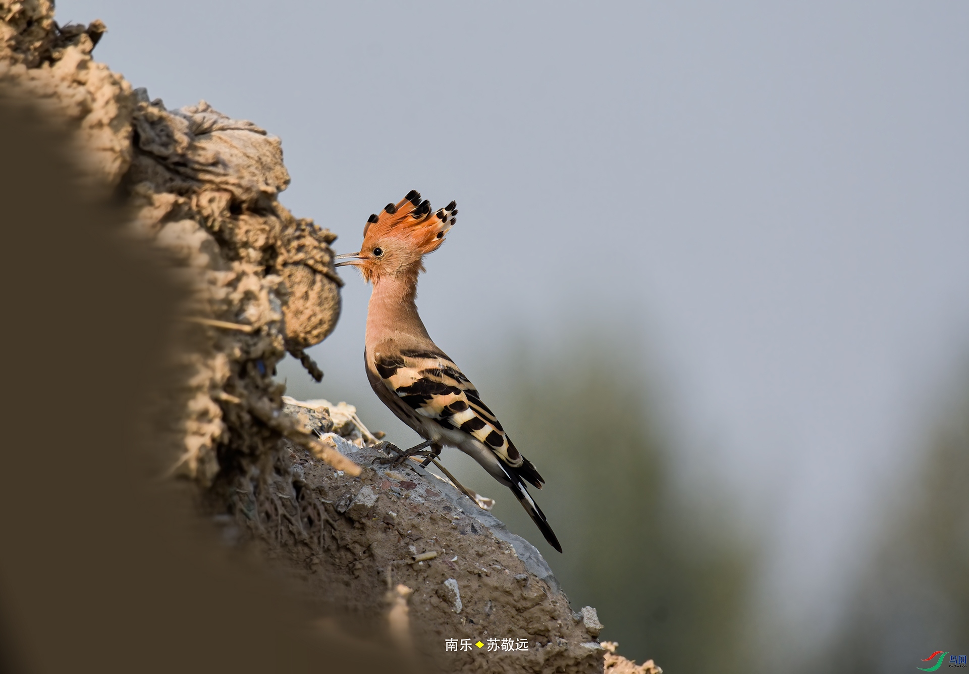 _DSC4606С.jpg