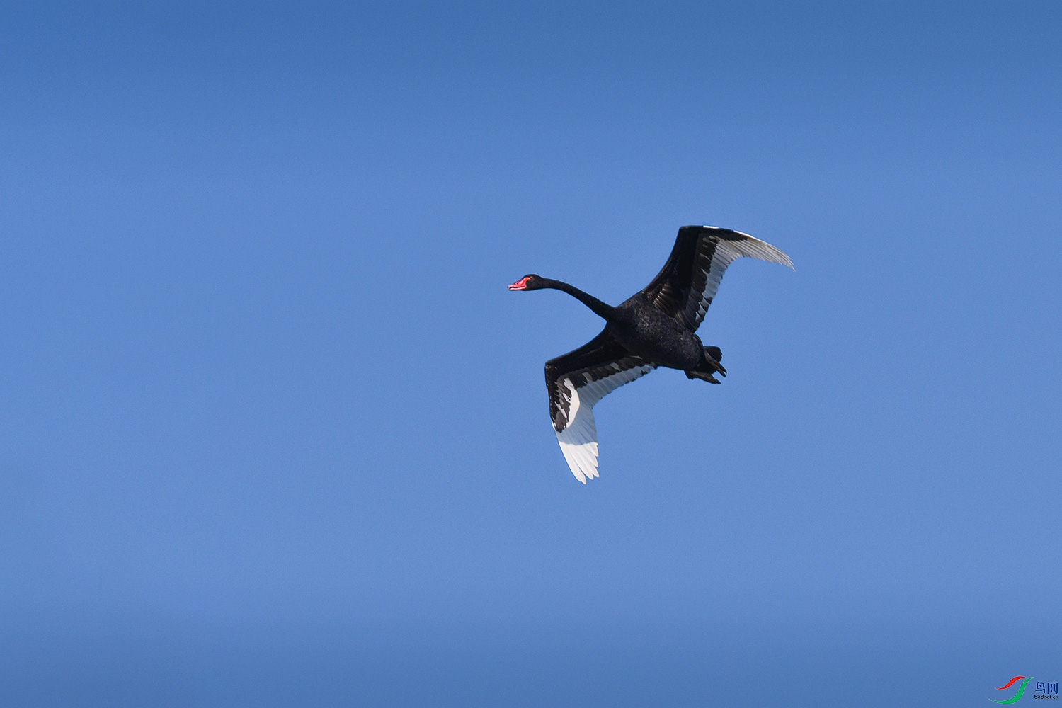 DSC_3656-2.jpg