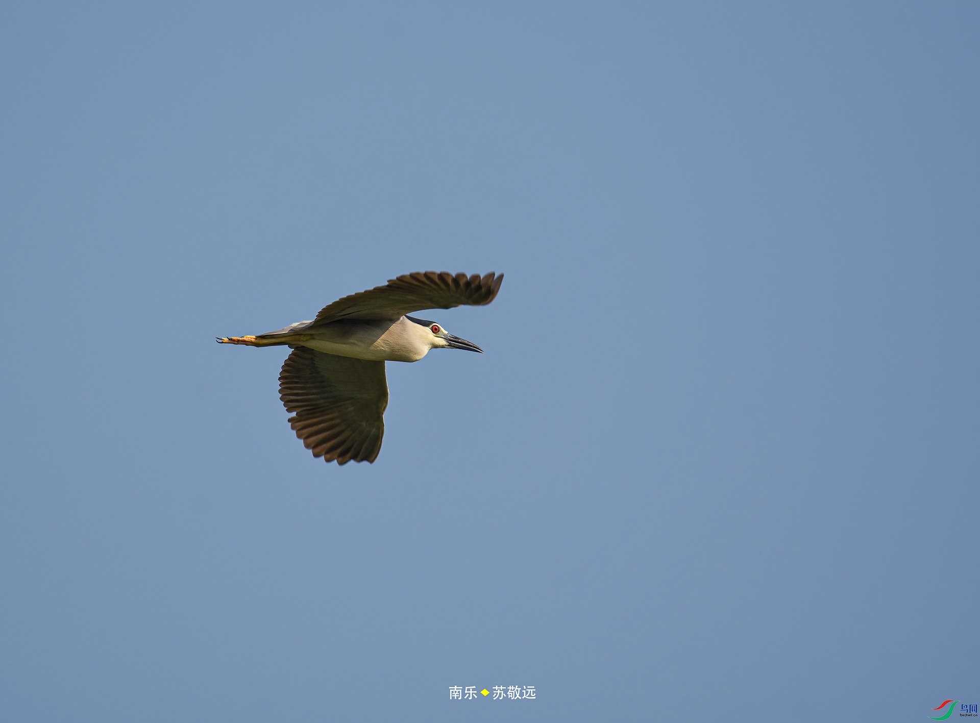 _DSC1100С.jpg