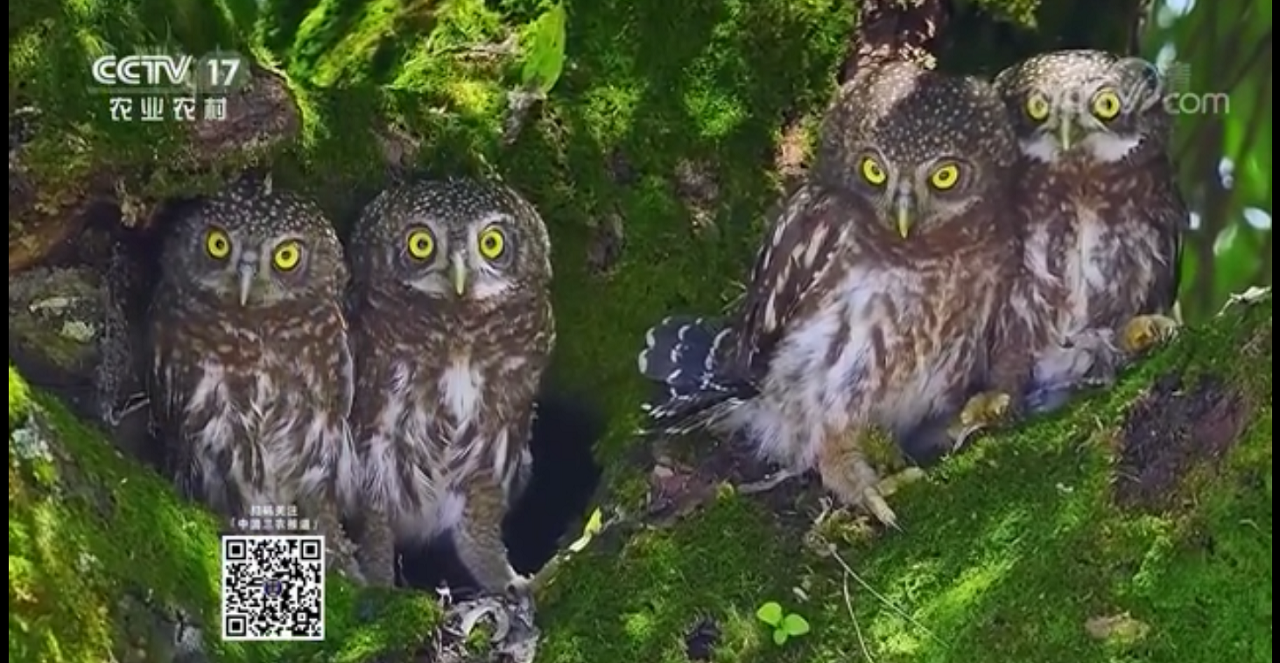 20201129 - ��С.png