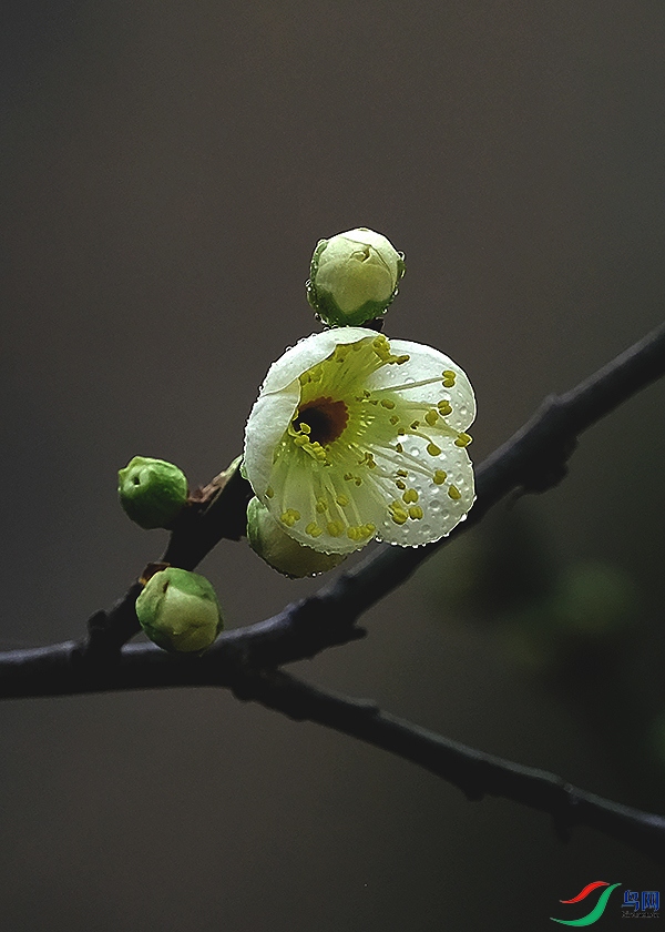 DSCF3386.JPG