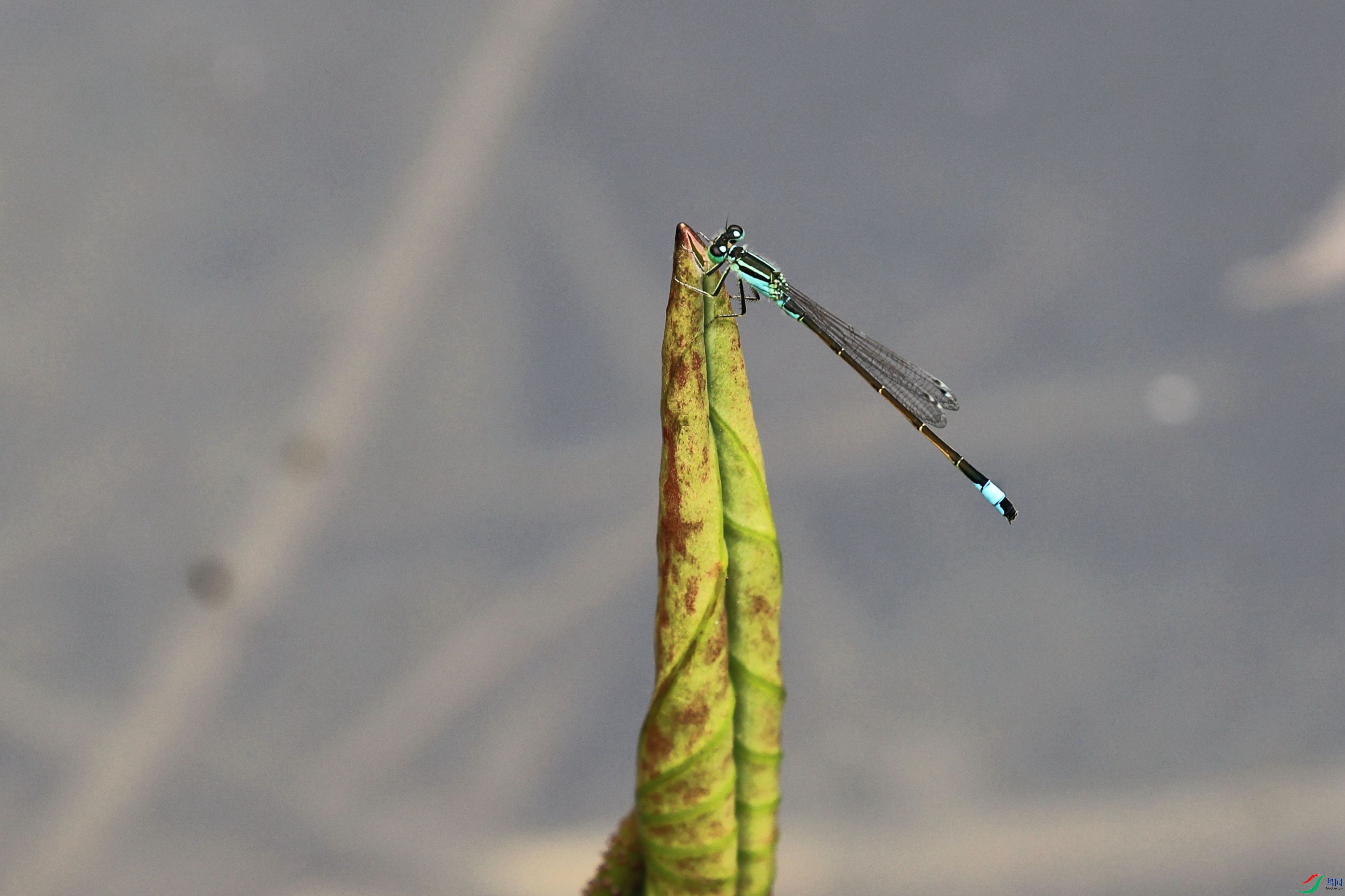 3W6A7171_����.jpg