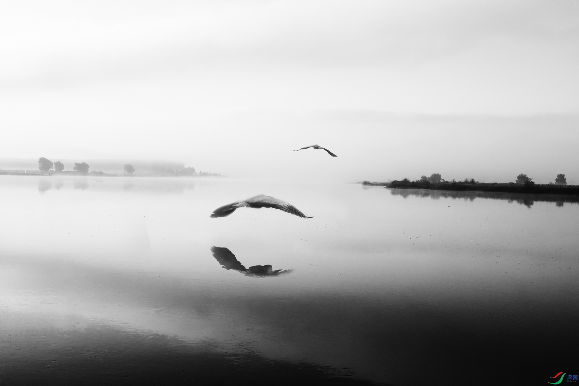 _52A0071920(500).jpg