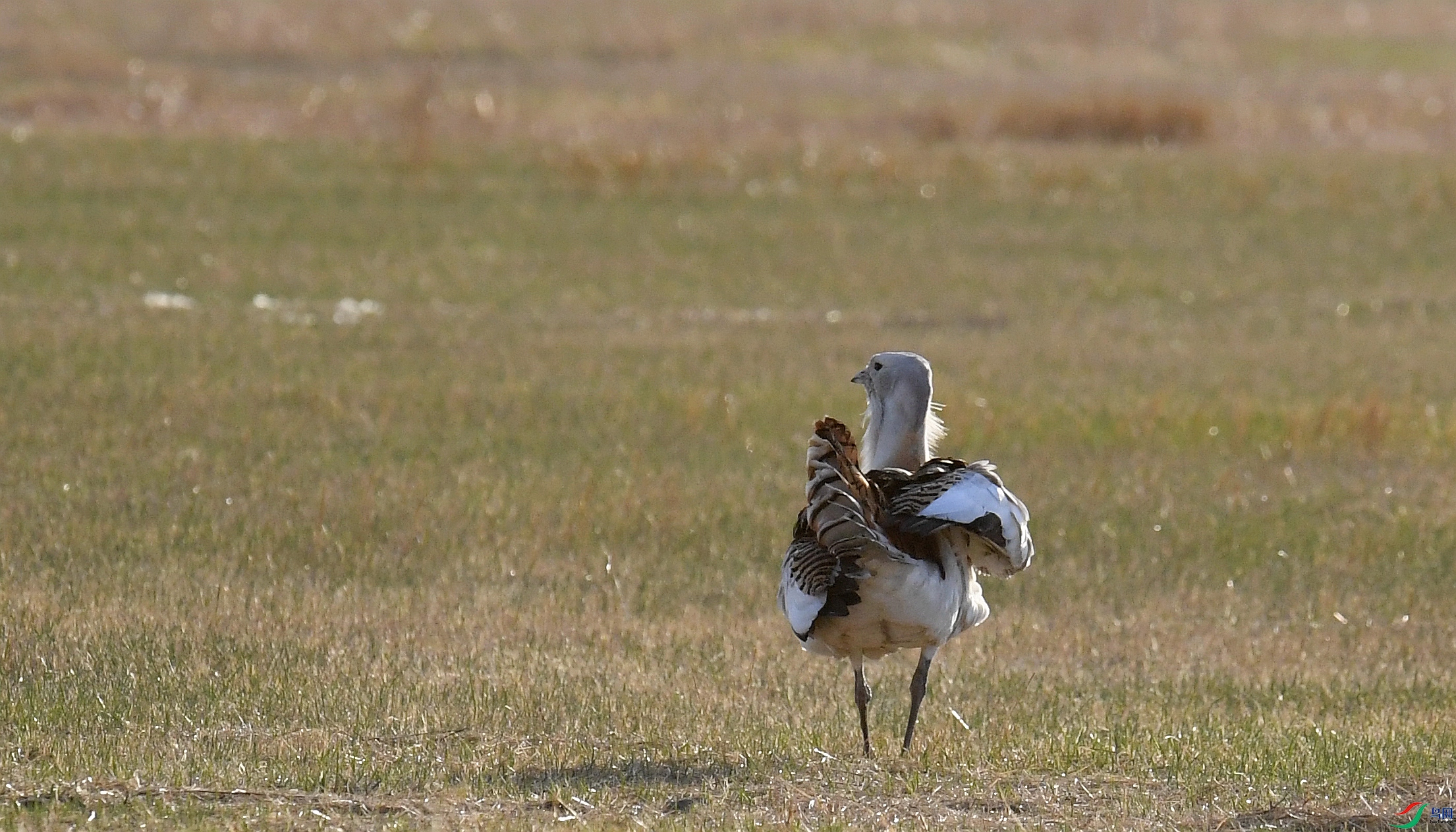 DSC_7922_����.jpg