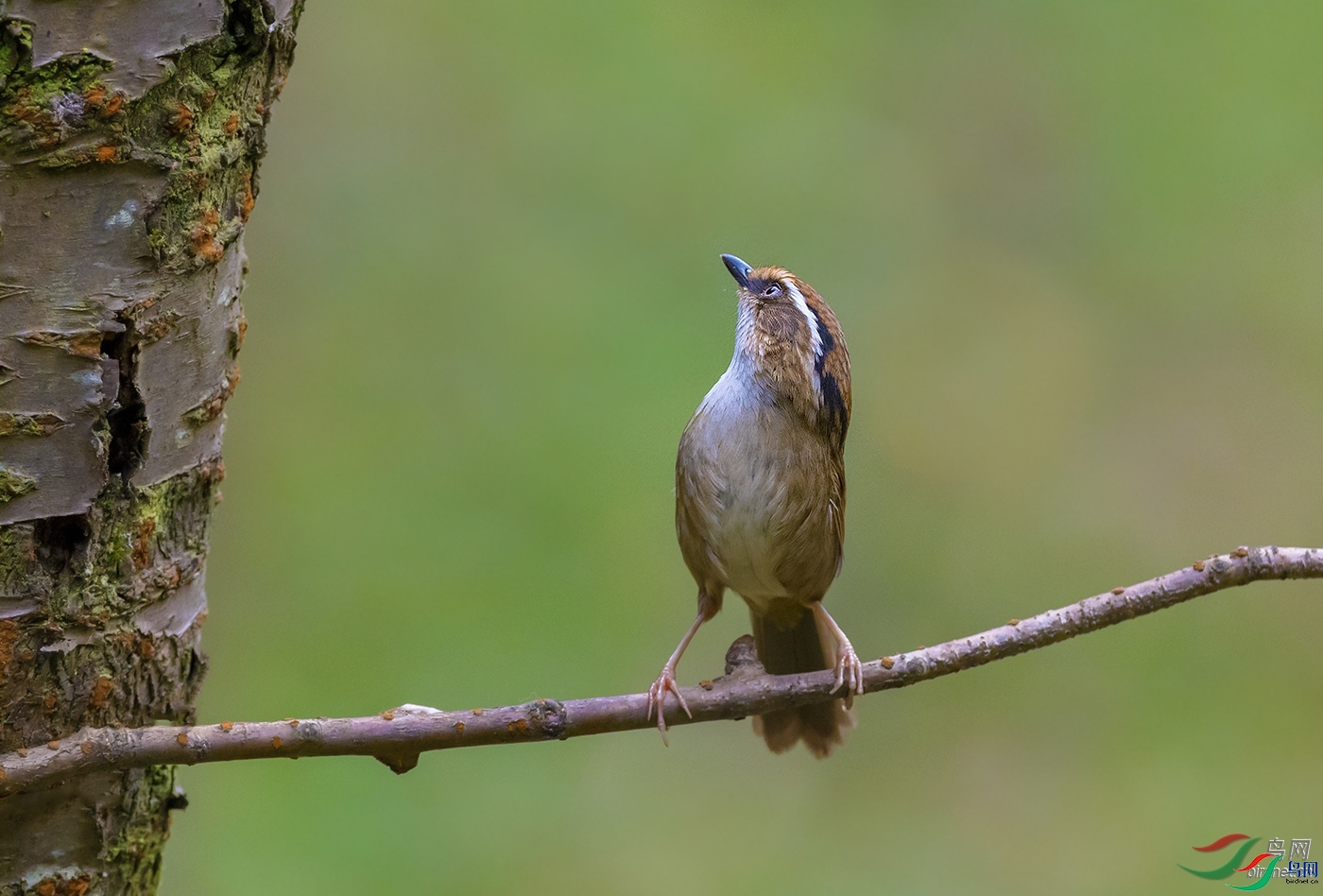 ǭɽ��Ӱ  ��ʦ����.jpg