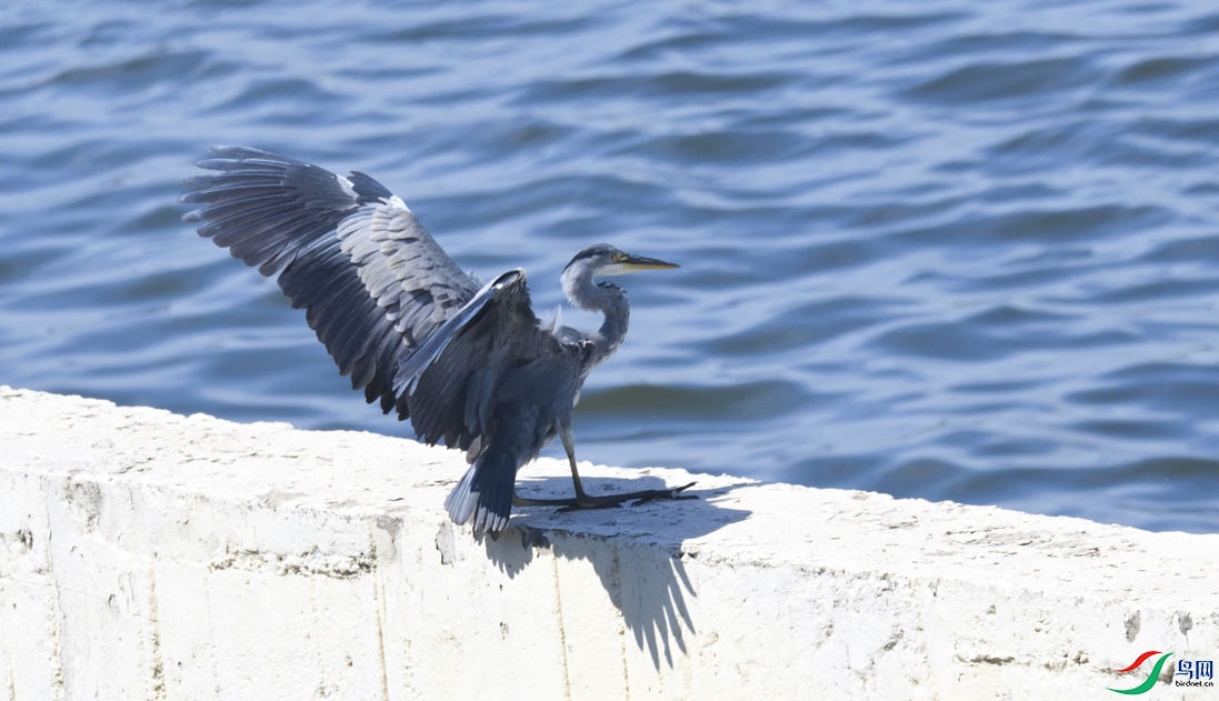 _DSC0693_00001-01-p-2.jpg