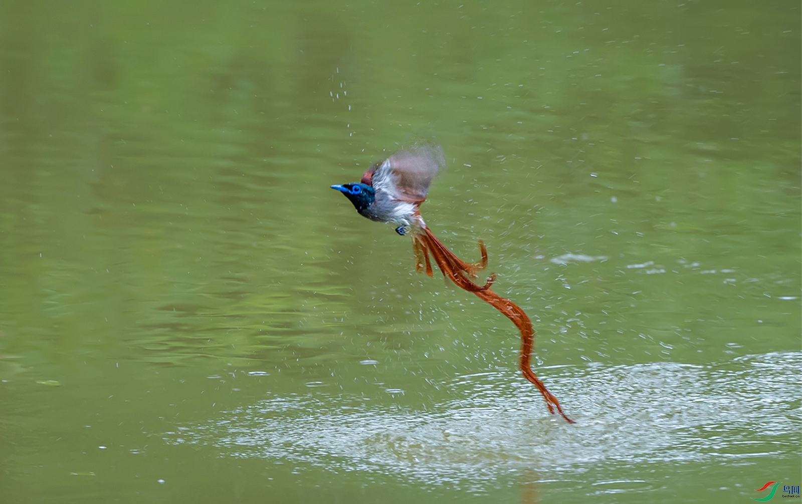 DSC_1549.jpg
