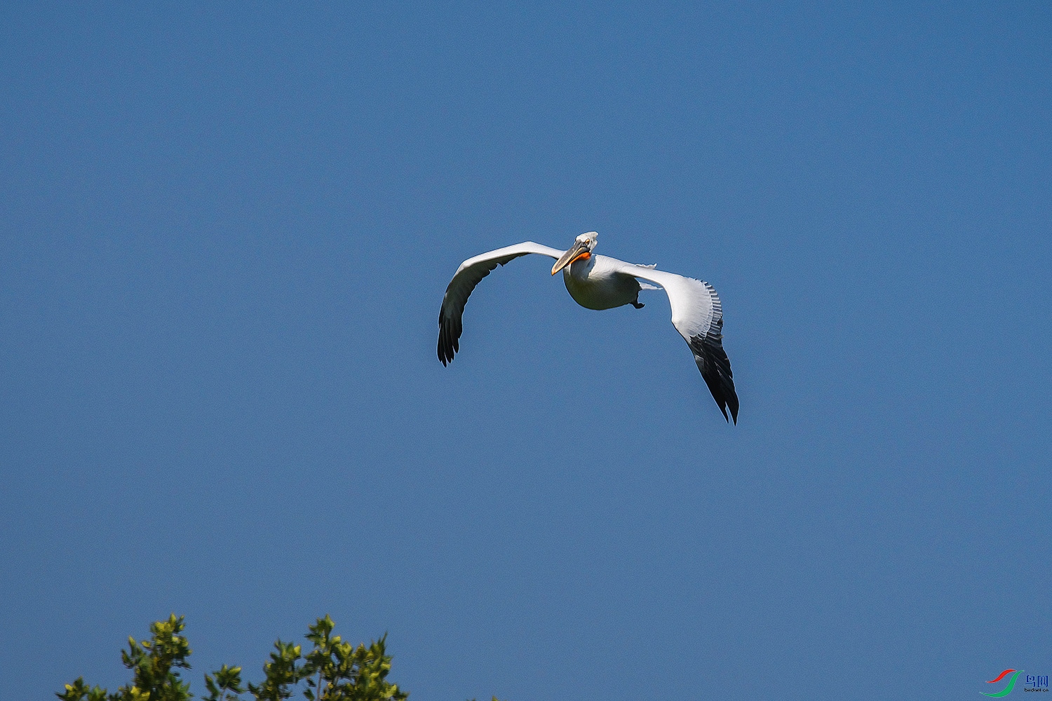DSC_4241-2.jpg