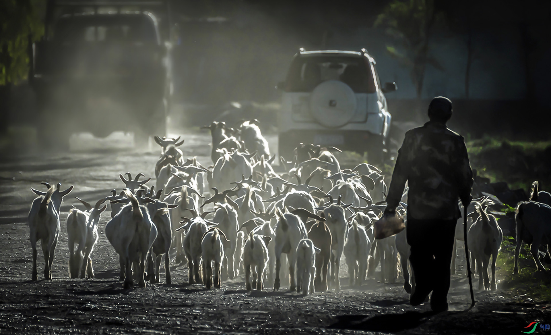 ӭ�ų��⣬�����¸�֮·