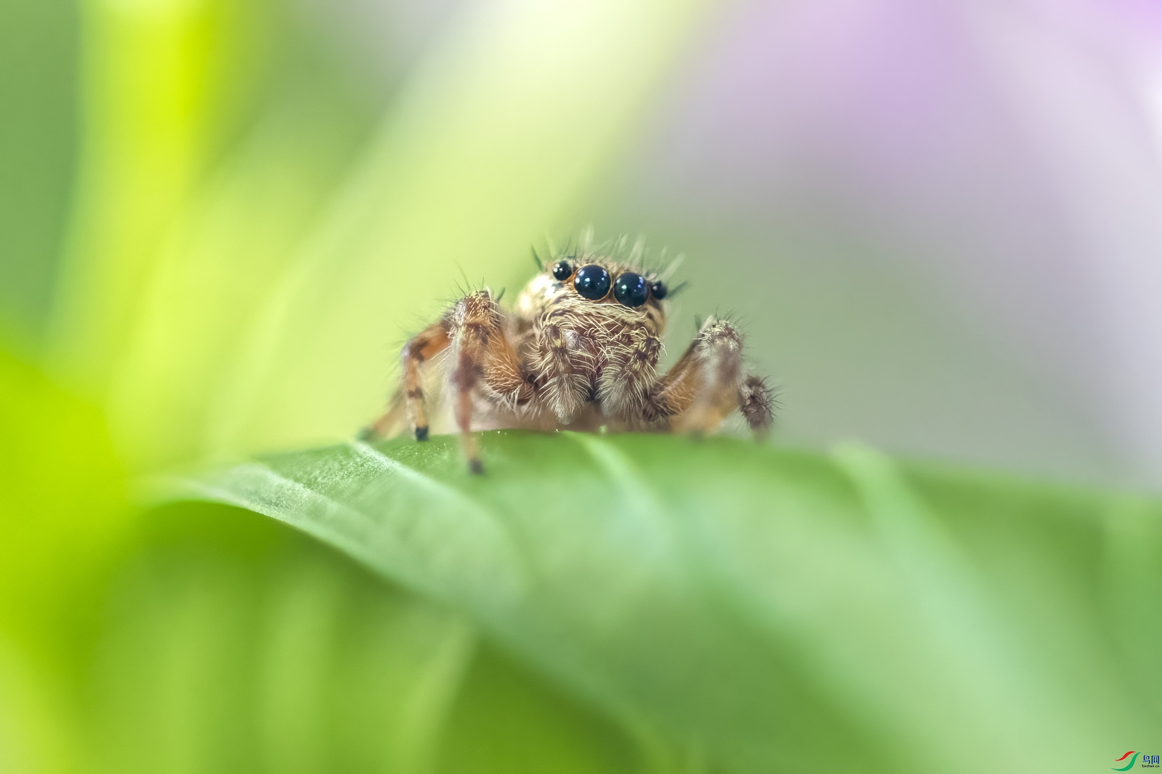 DSC_5824.jpg