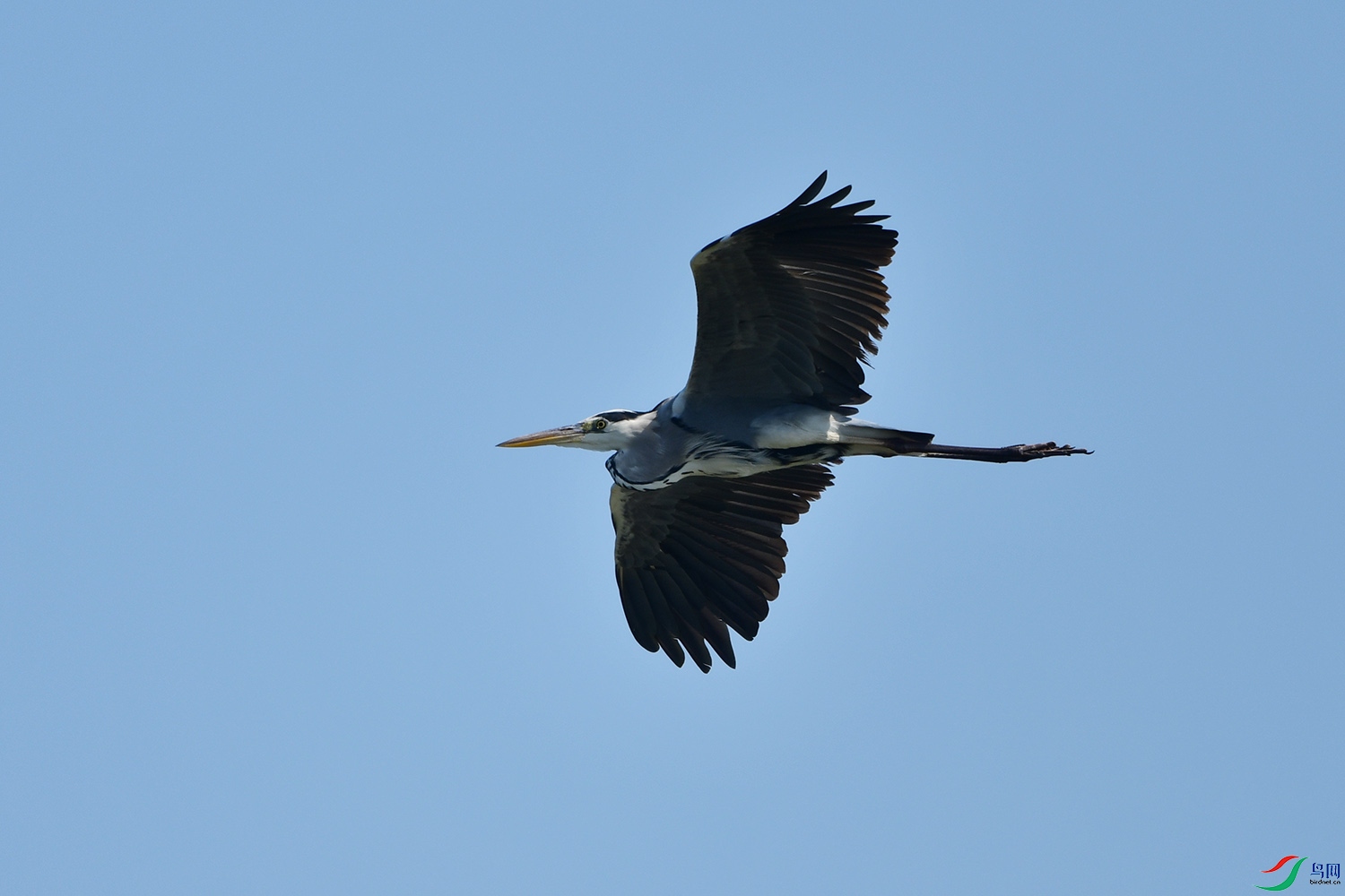 DSC_2855.jpg
