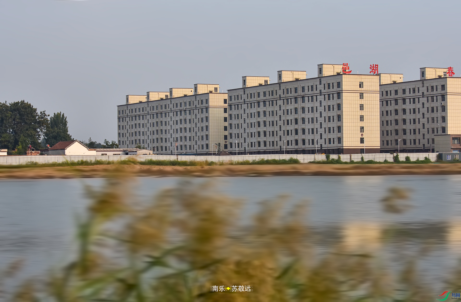 _DSC4714С.jpg
