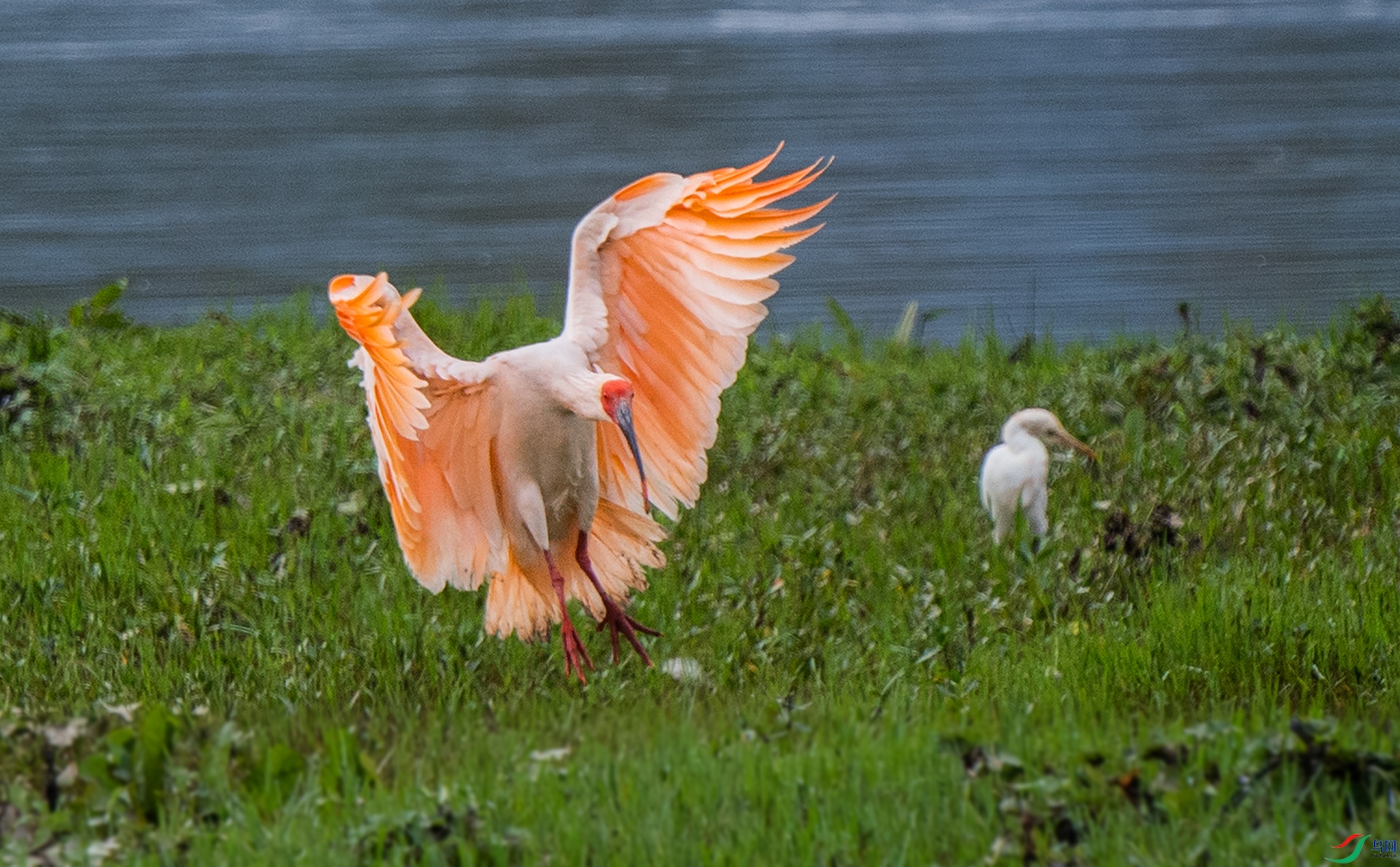 DSC_6742.jpg