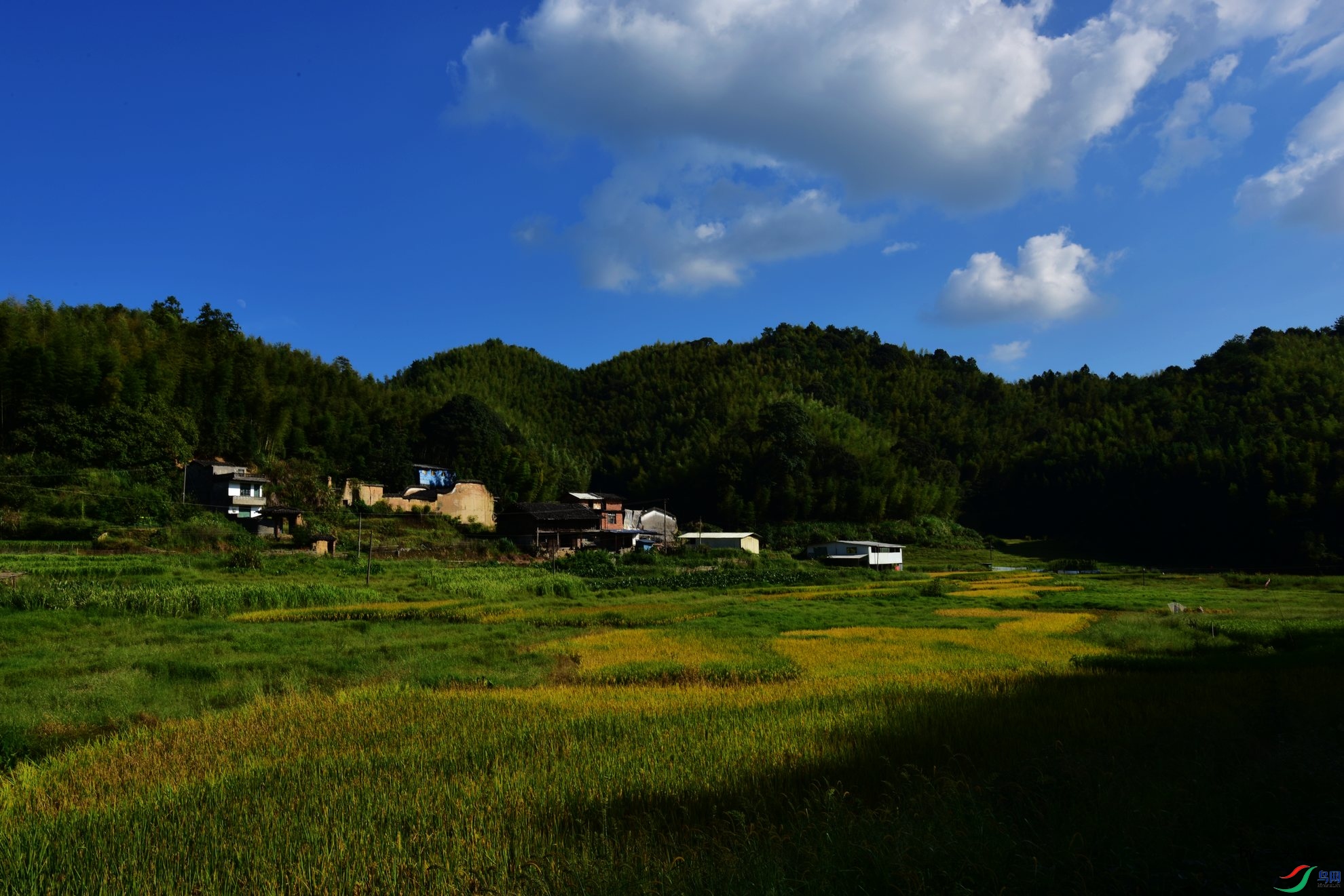 秋天乡村