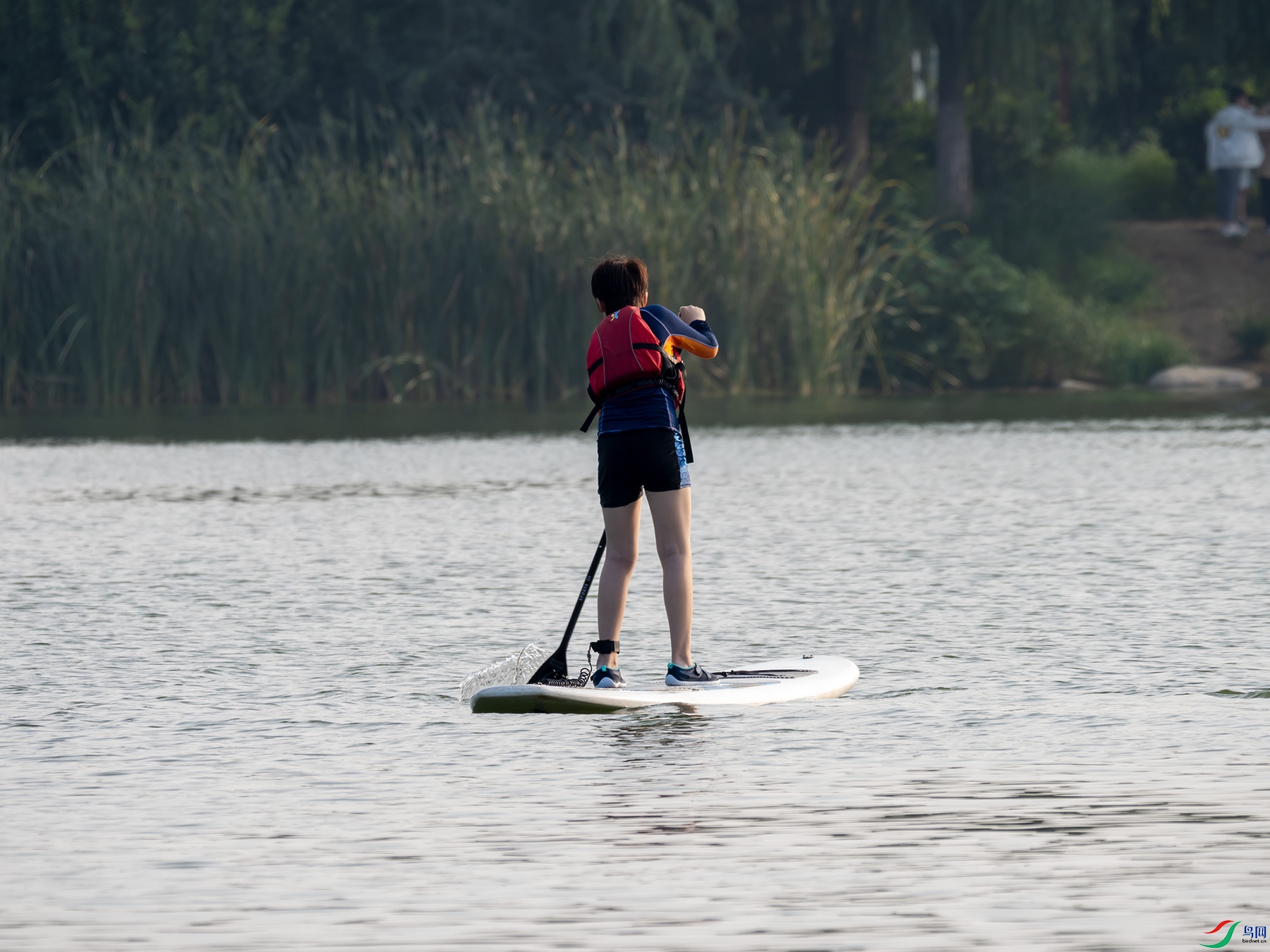 ѧ�����С����