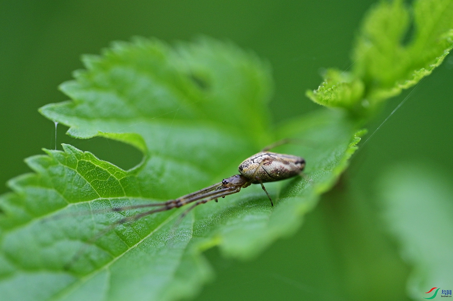 DSC_4485.jpg