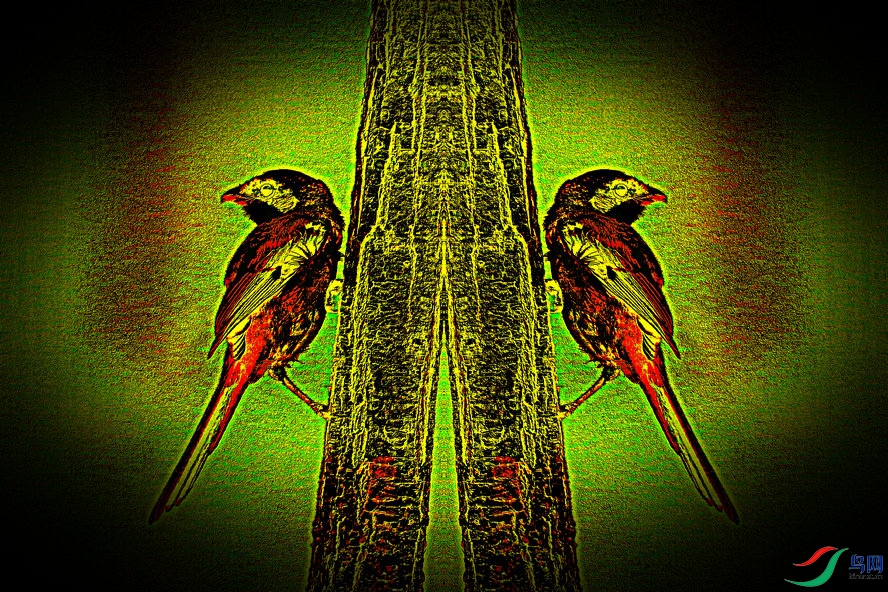 4K0A0795_����_����2_����.jpg