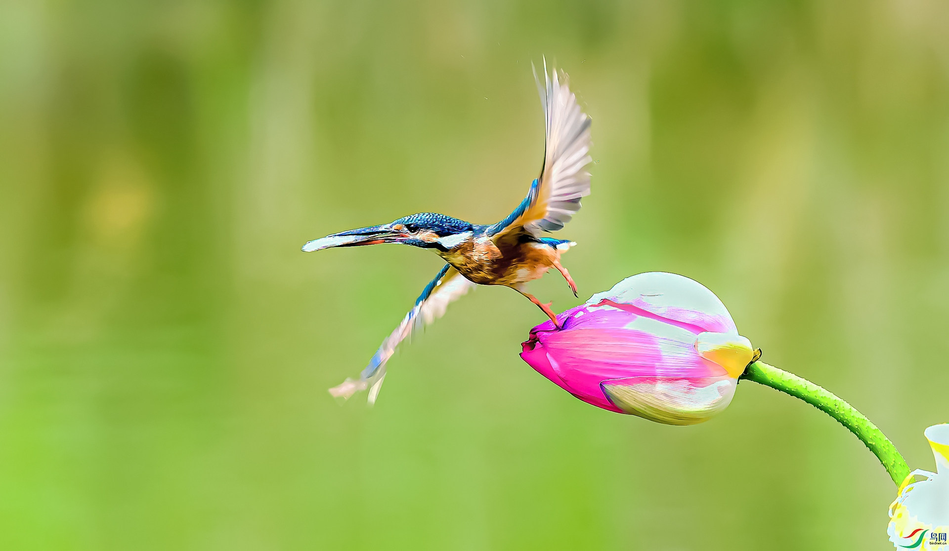 DSC_4824==2w.jpg