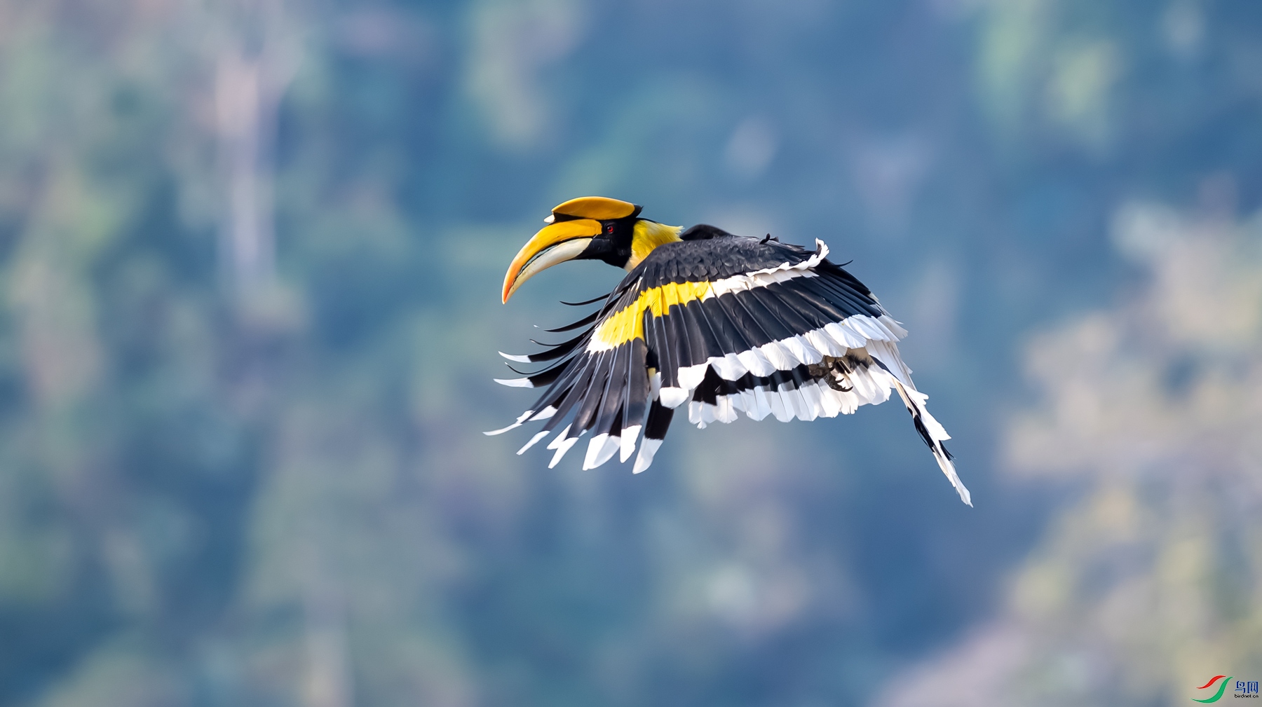 DSC_9287==1w.jpg