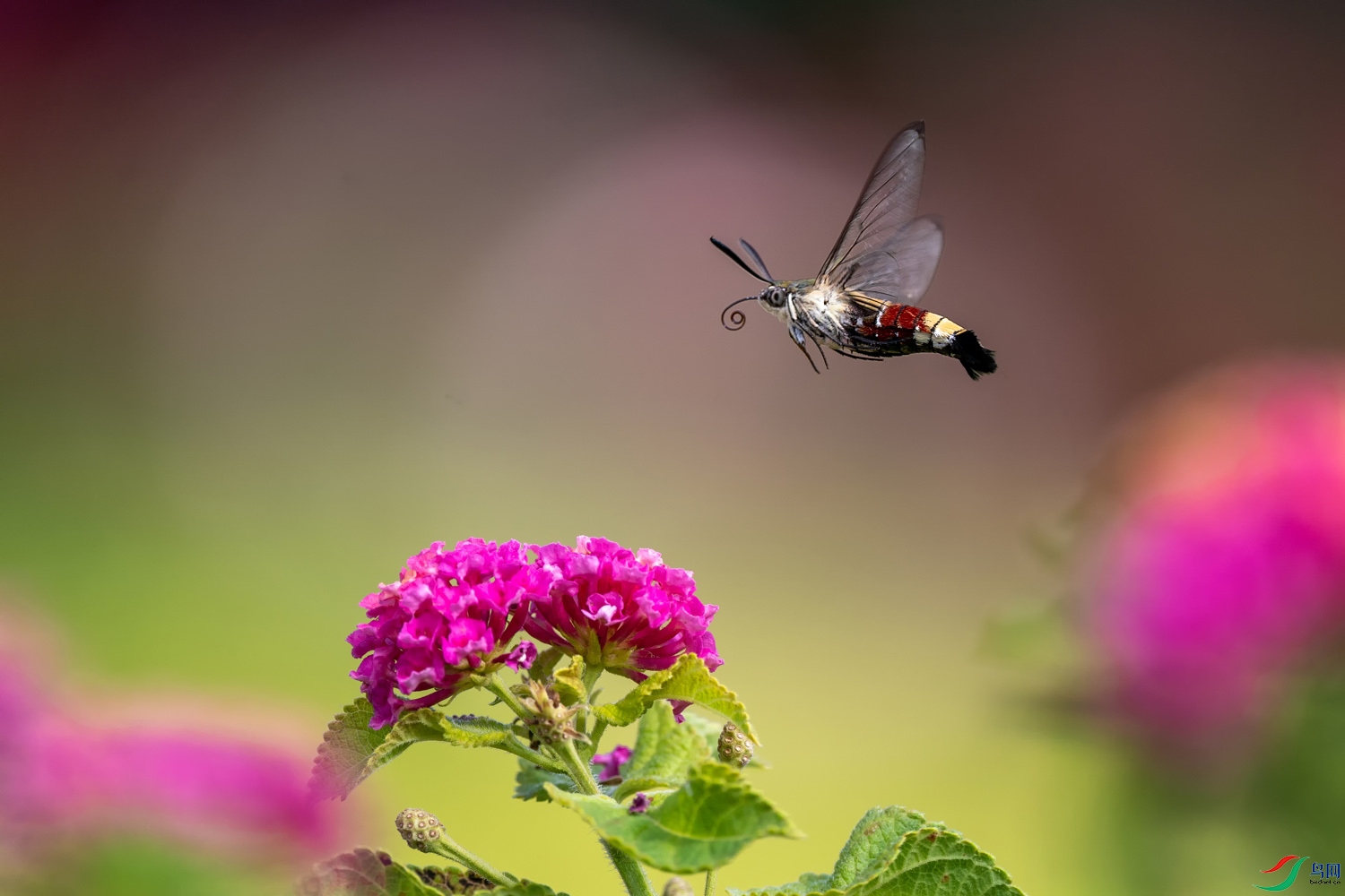 A9D05514a.jpg