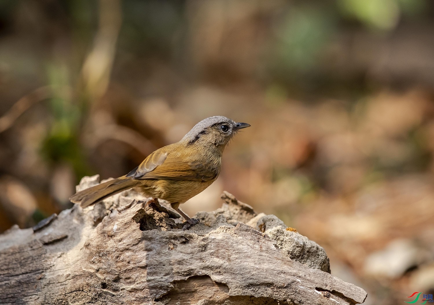 ƽ�� ��ʦ����������ʡ�º���徰����������0.jpg