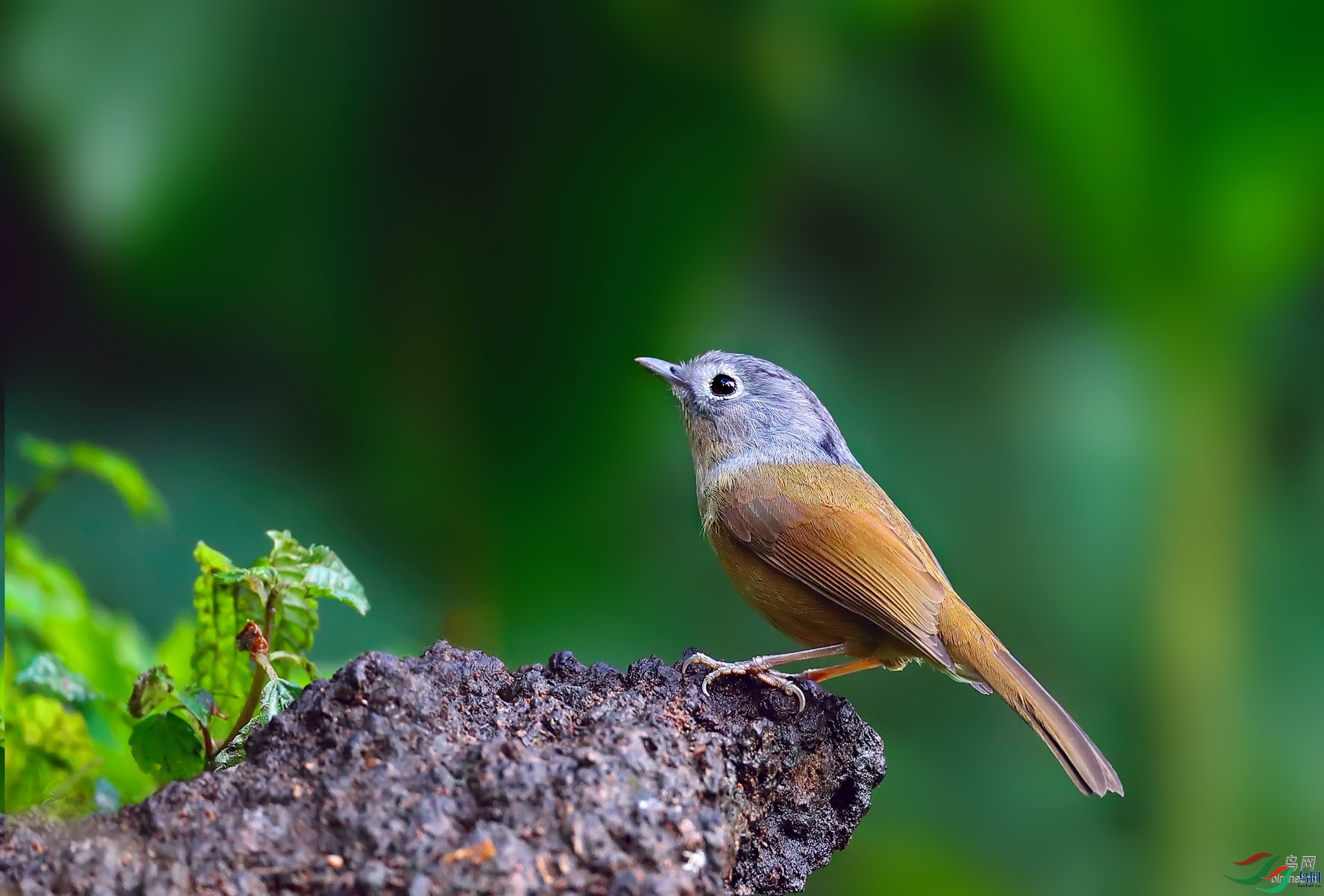 �����������  ��ʦ����������ʡ��ɽ���ڳ���.jpg